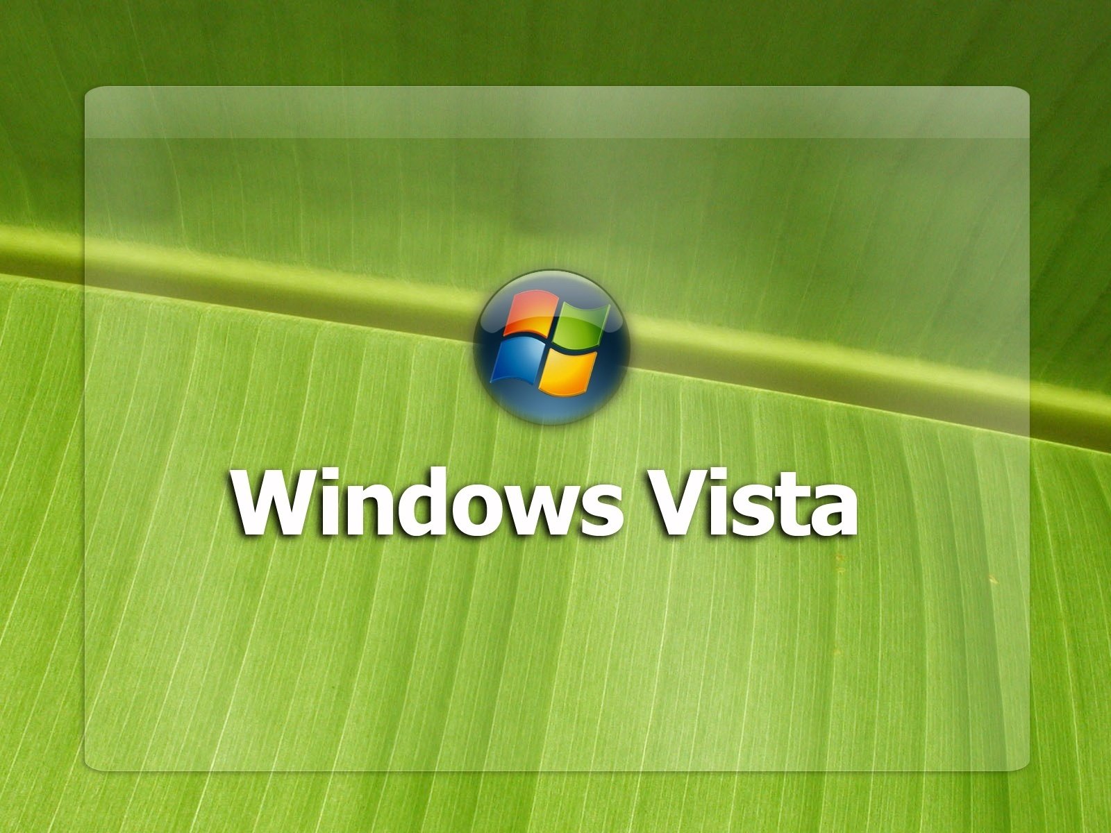 Windows logo with a light green leaf