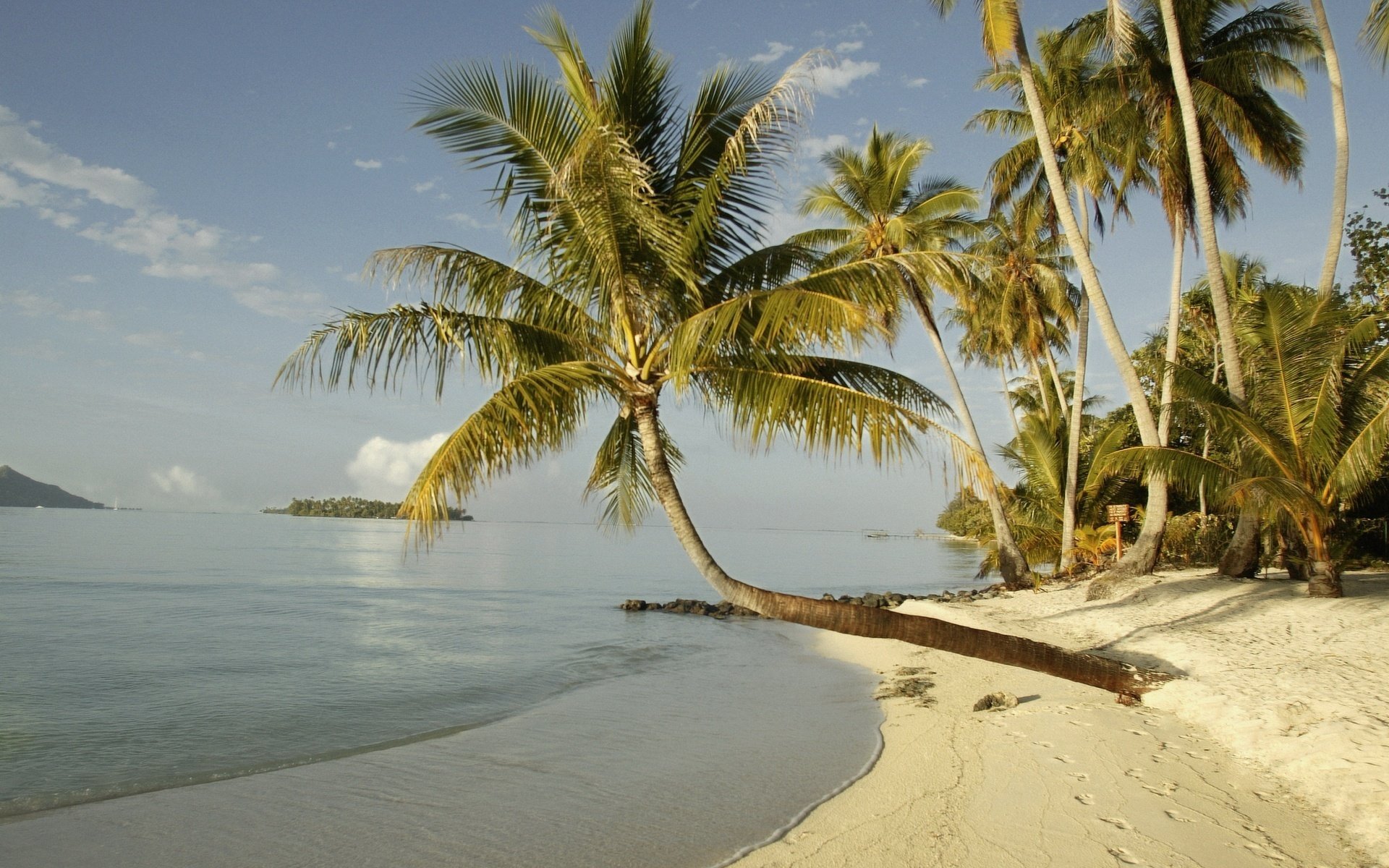 Sunny beach on the ocean coast