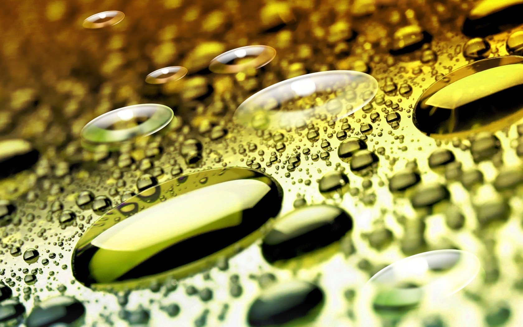 Water splashes, bubbles and drops on the glass