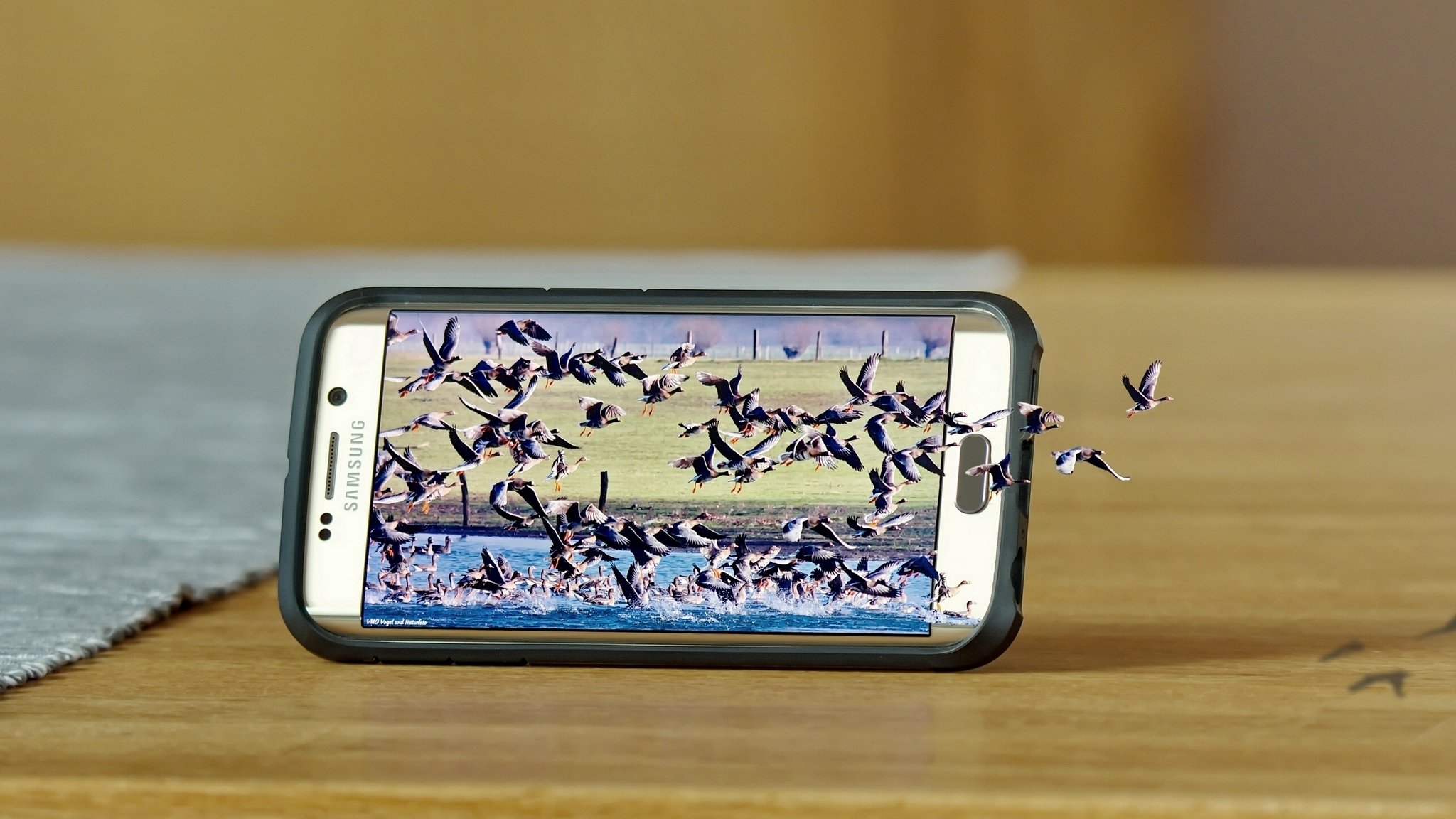 samsung galaxy s6 edge samsung smartphone nature birds