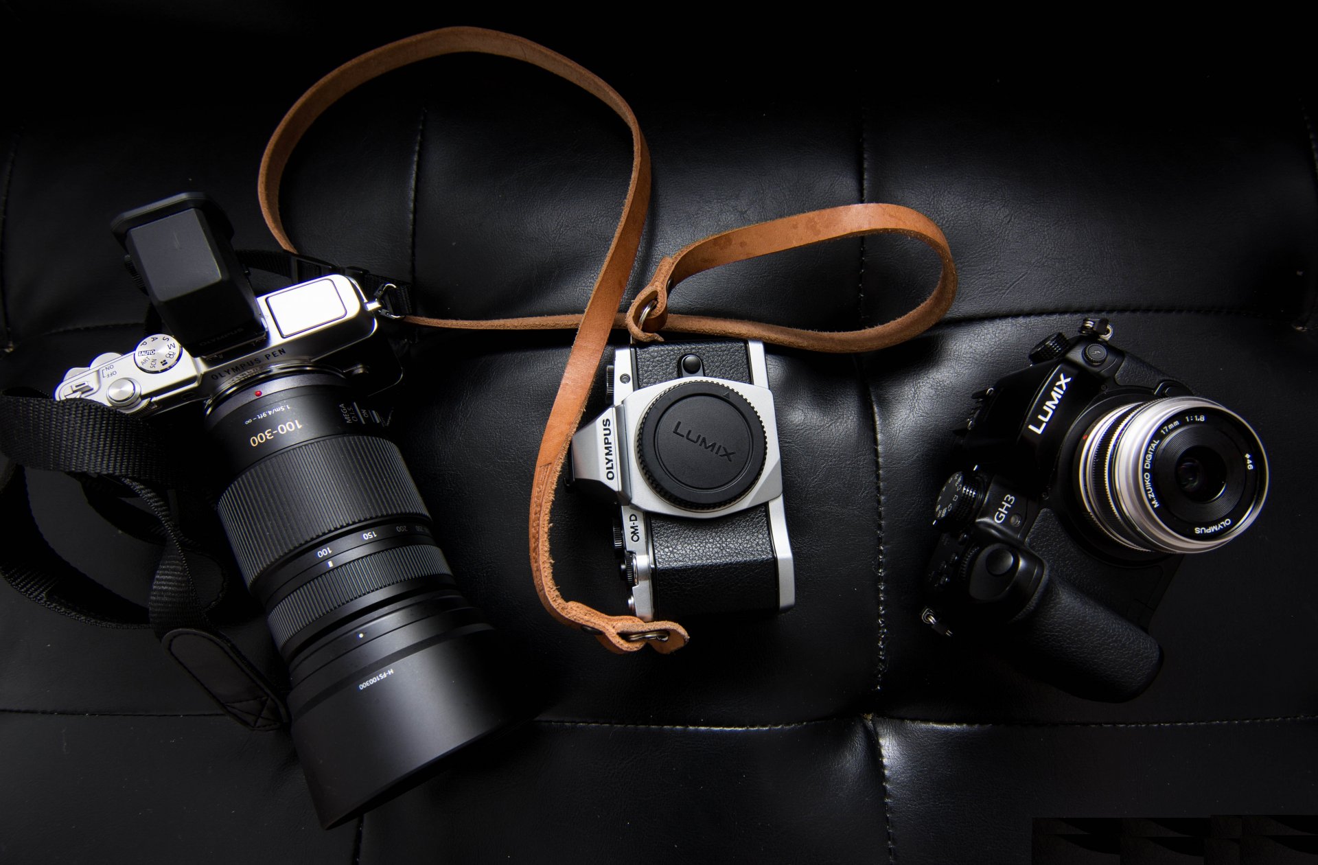 a camera lumix olympus leather belt