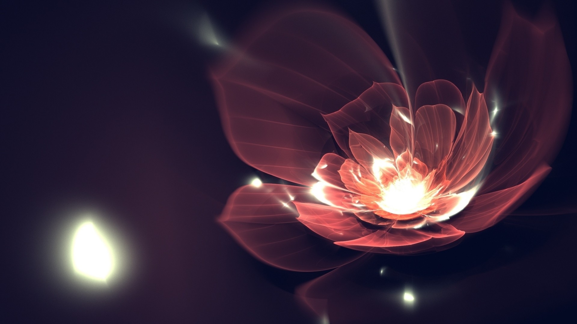 flower art fractal line petals