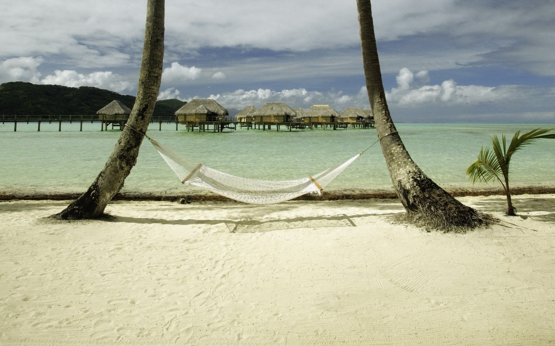 White hammock among two palm trees overlooking the ocean