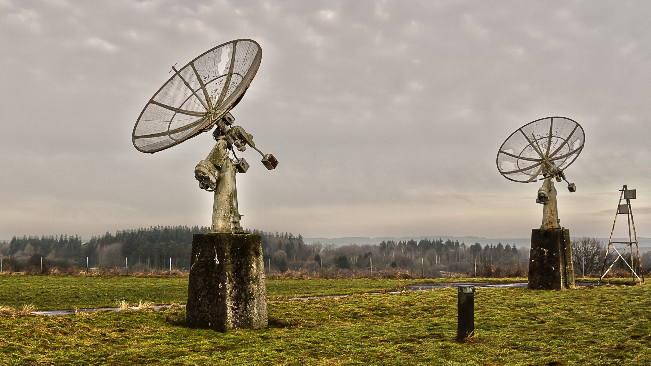 antenna the field background