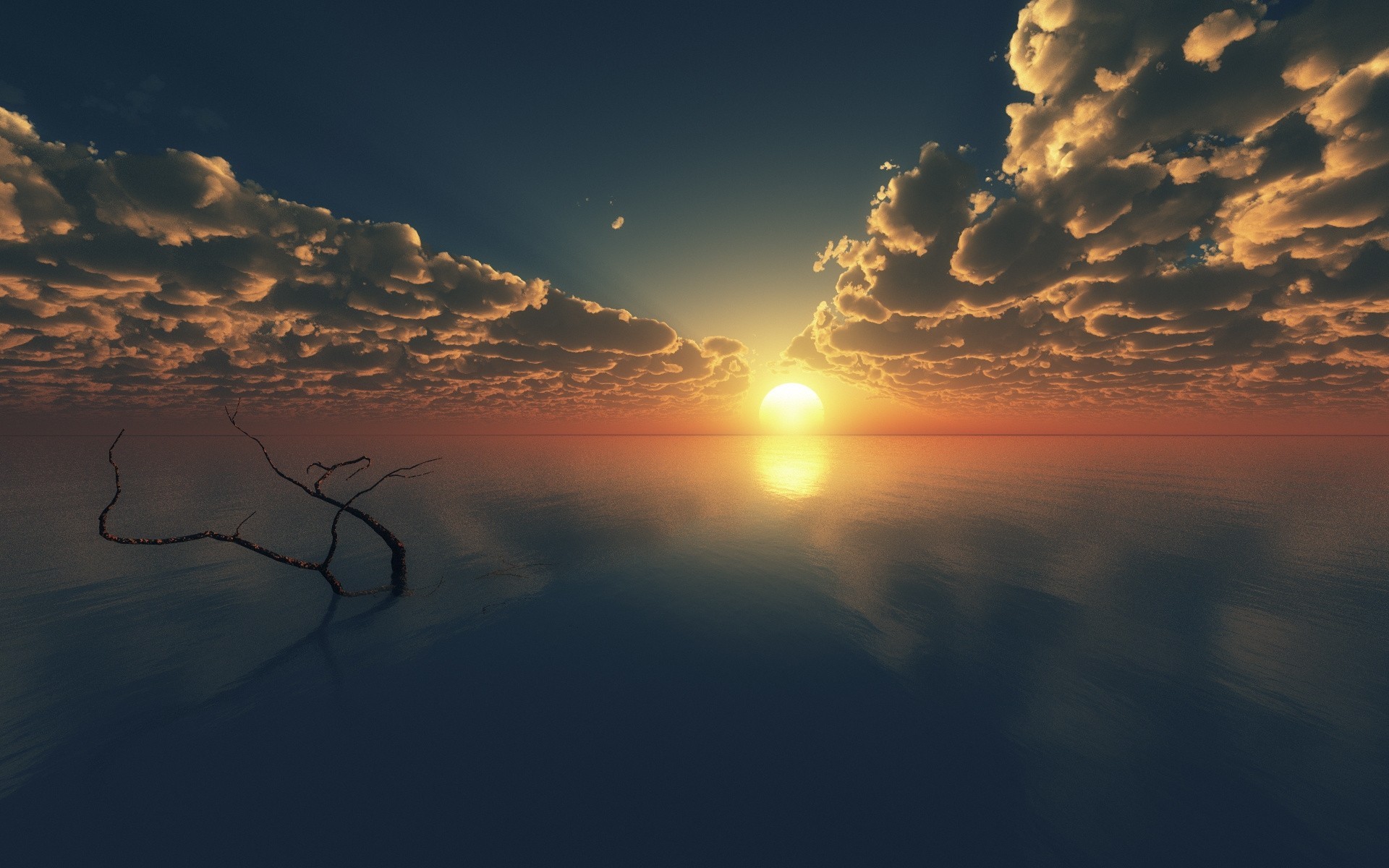art sunset tree horizon clouds sea branch surface of