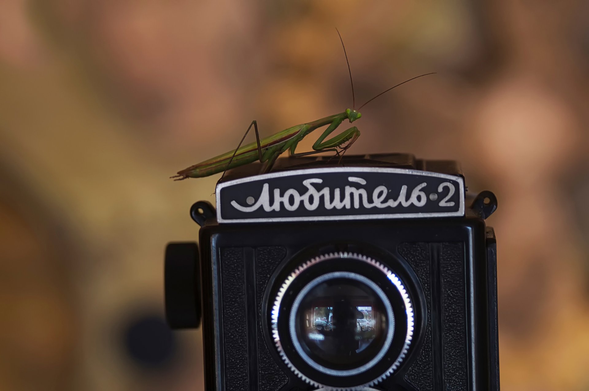 amateur a camera retro