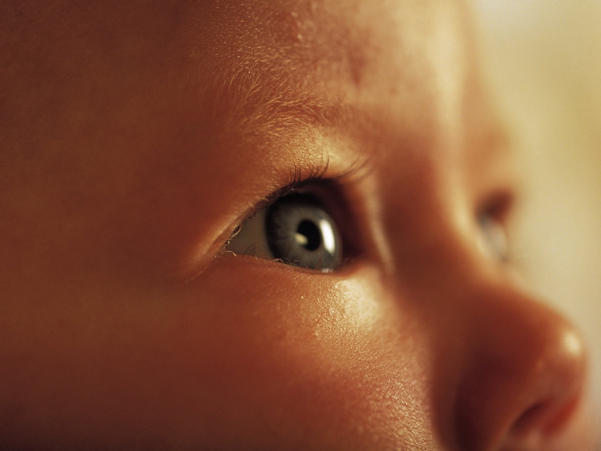 Portrait of a baby with brown eyes and a snub nose