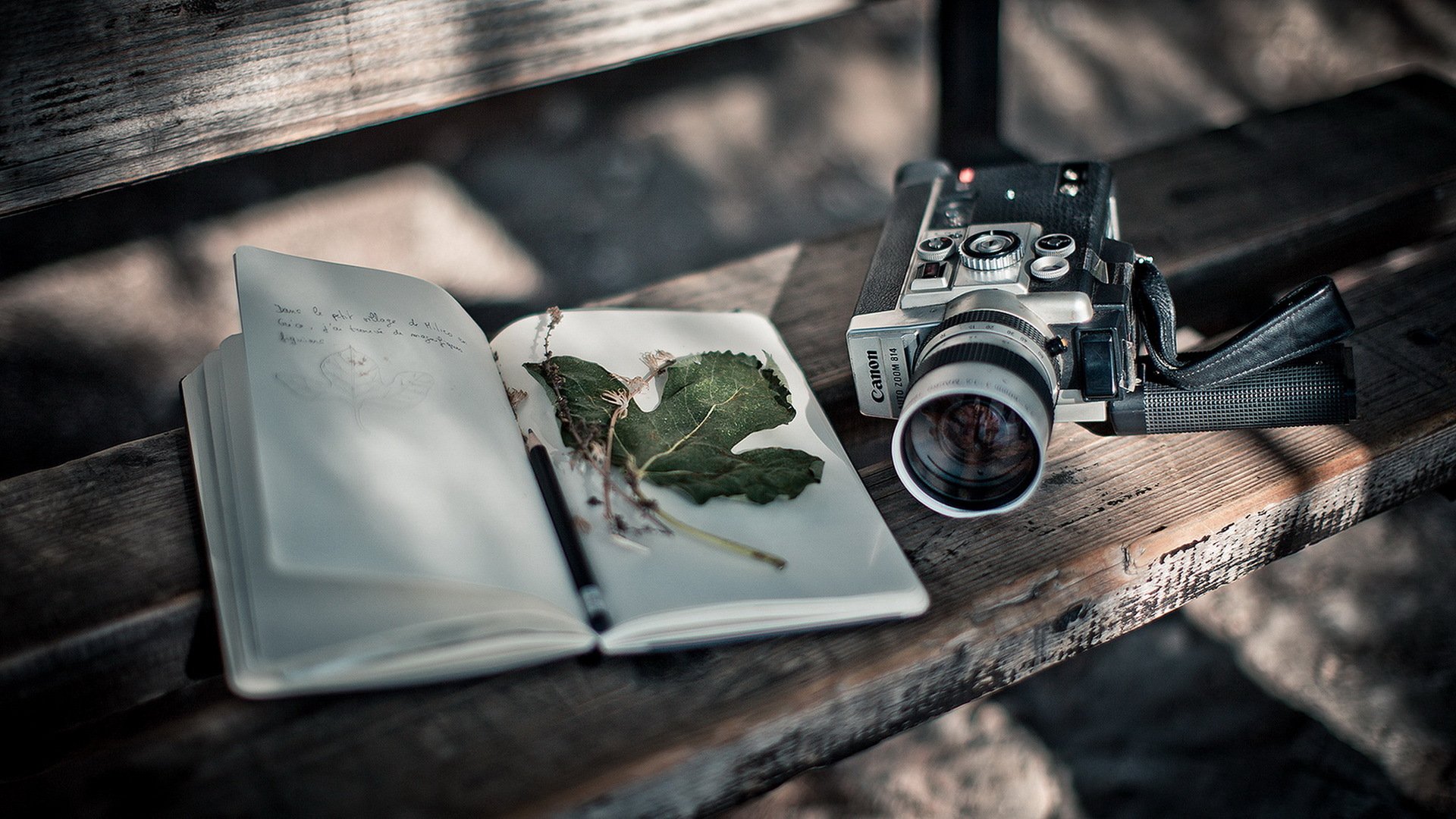 the camera book background