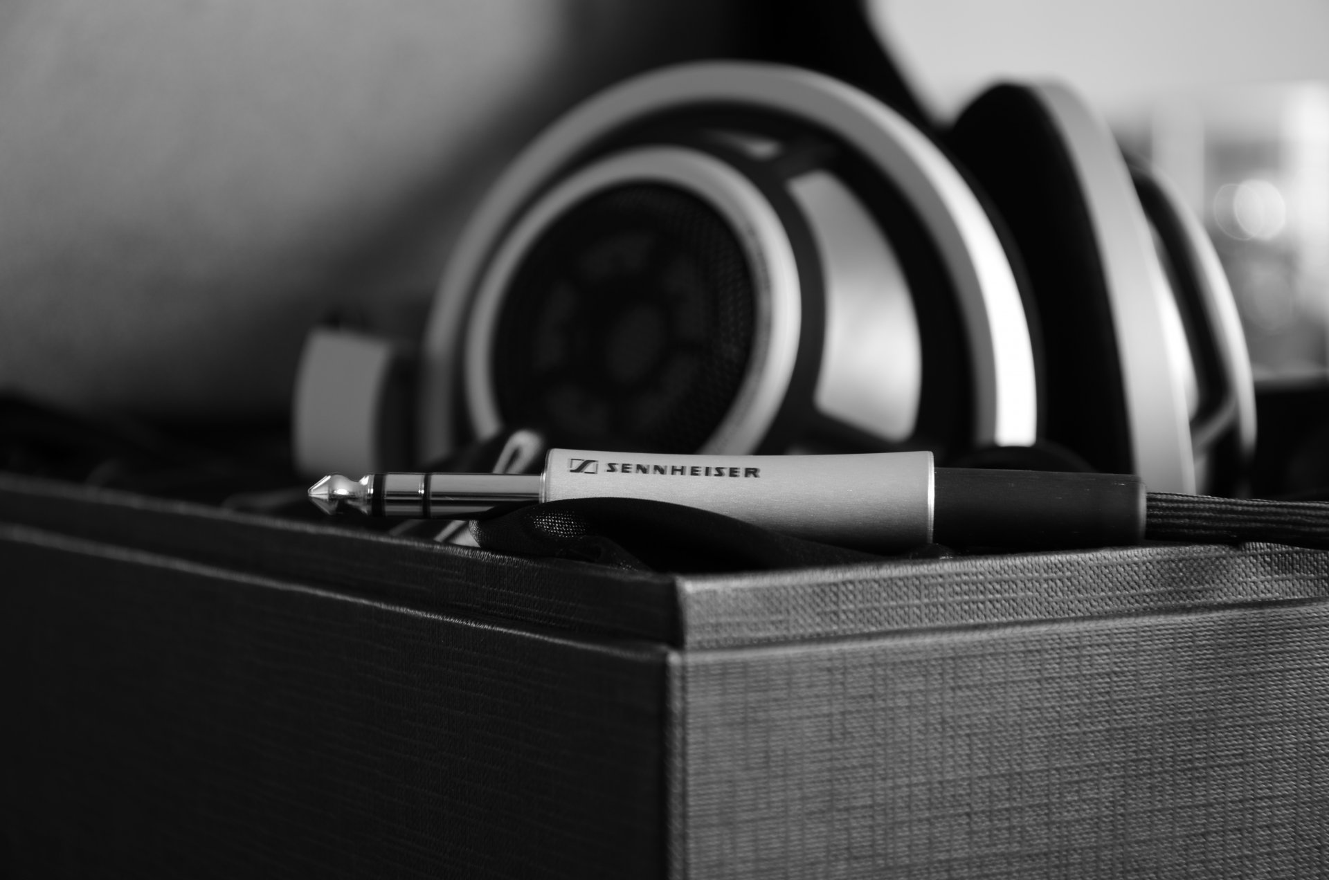 sennheser hd800 audio