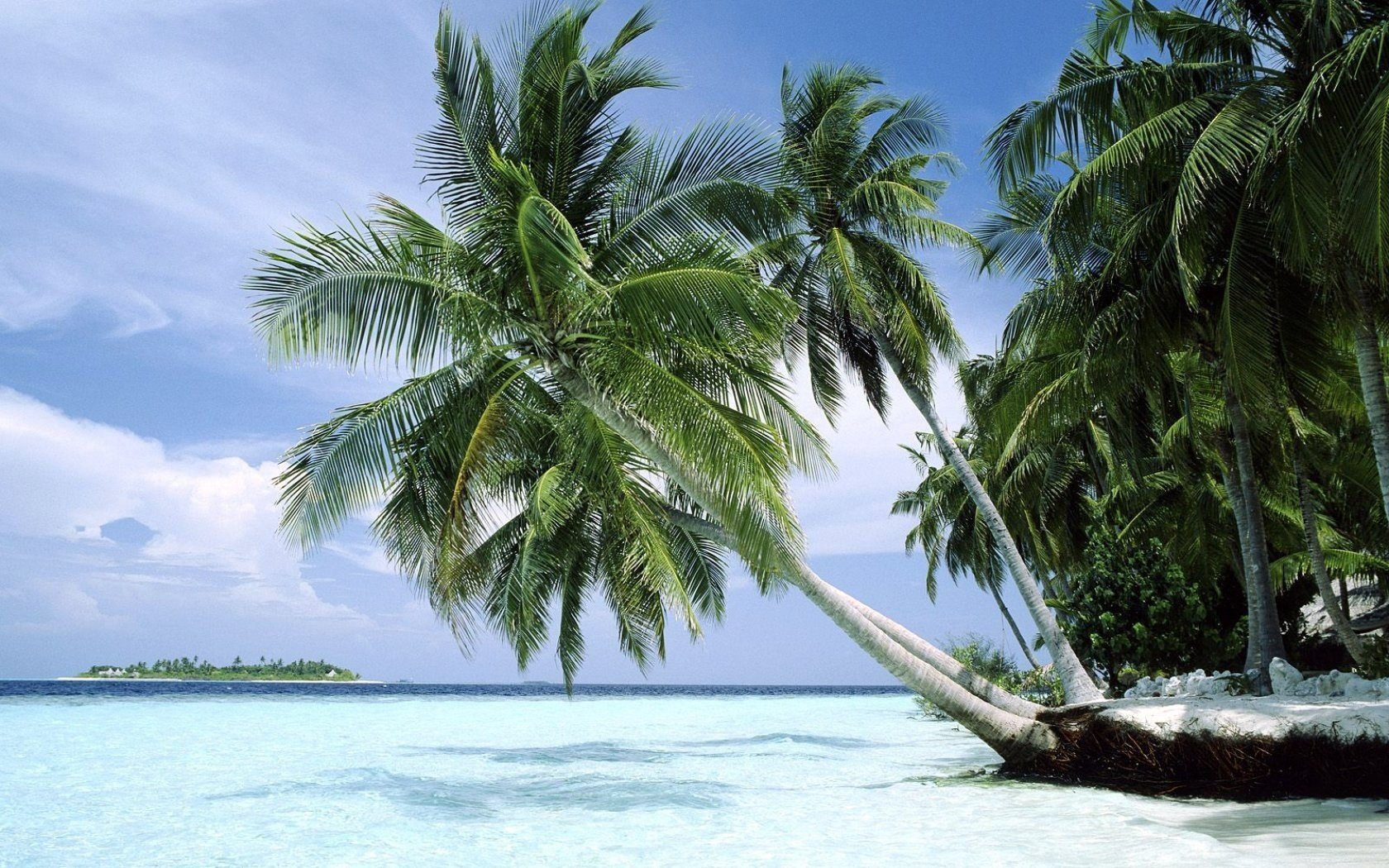 Beach, snow-white sand, palm trees, tropical paradise