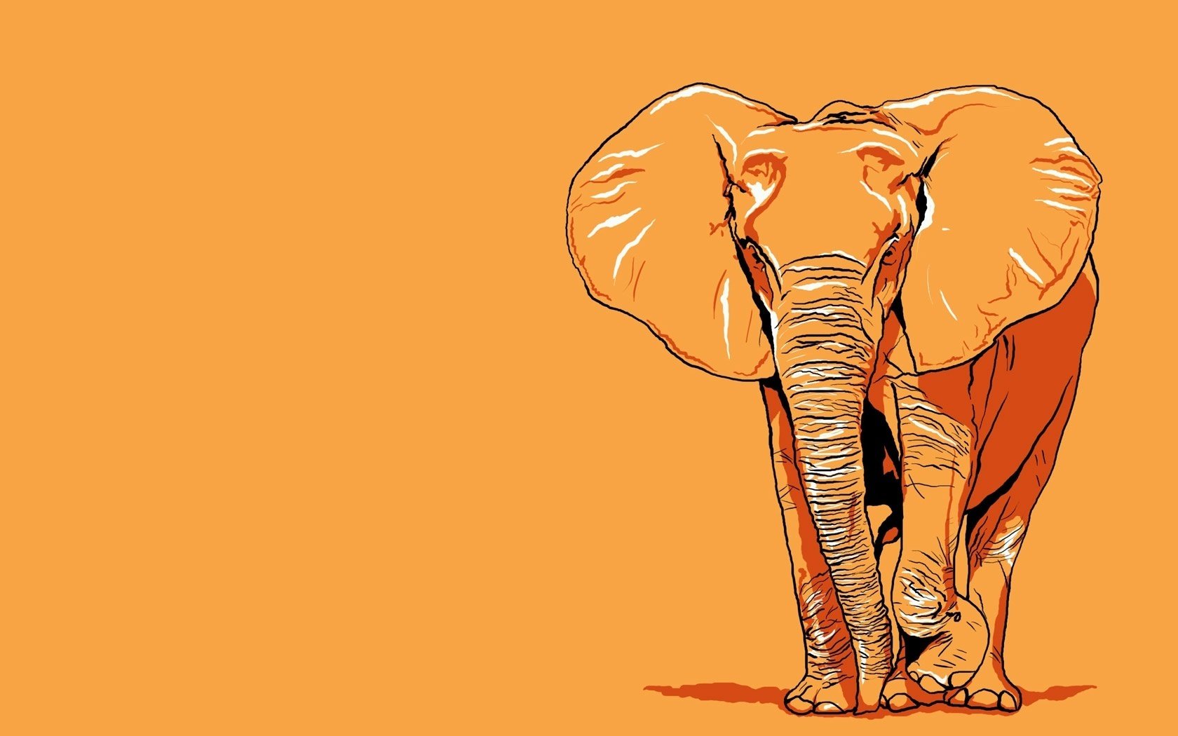 Painted elephant on an orange background