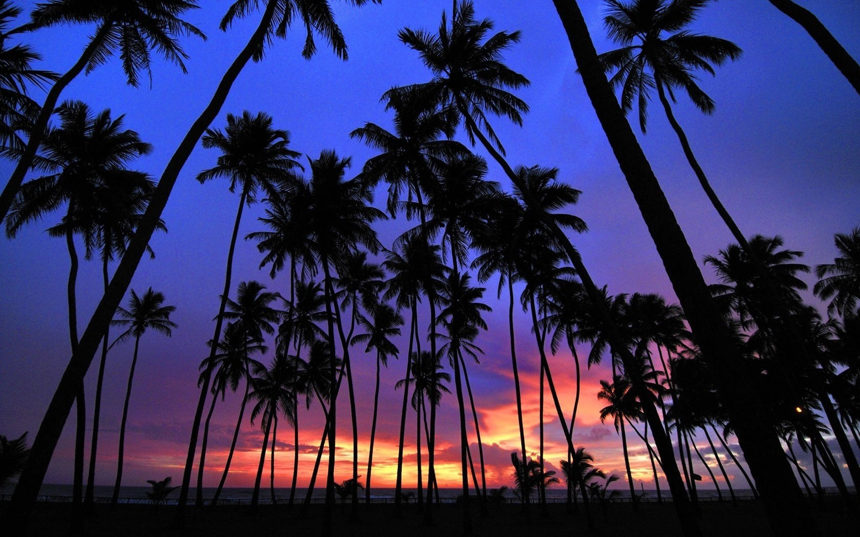Colorful sunset in tropical countries