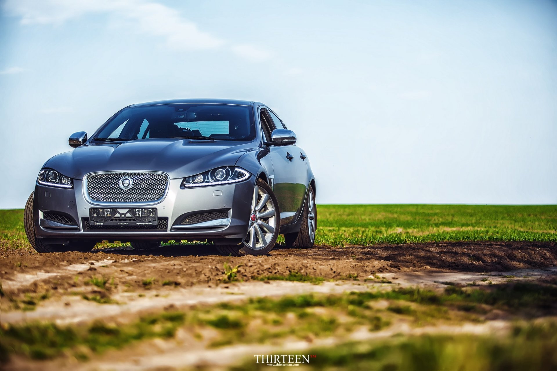 thirteen photography photos photographer car machine auto jaguar the field grass