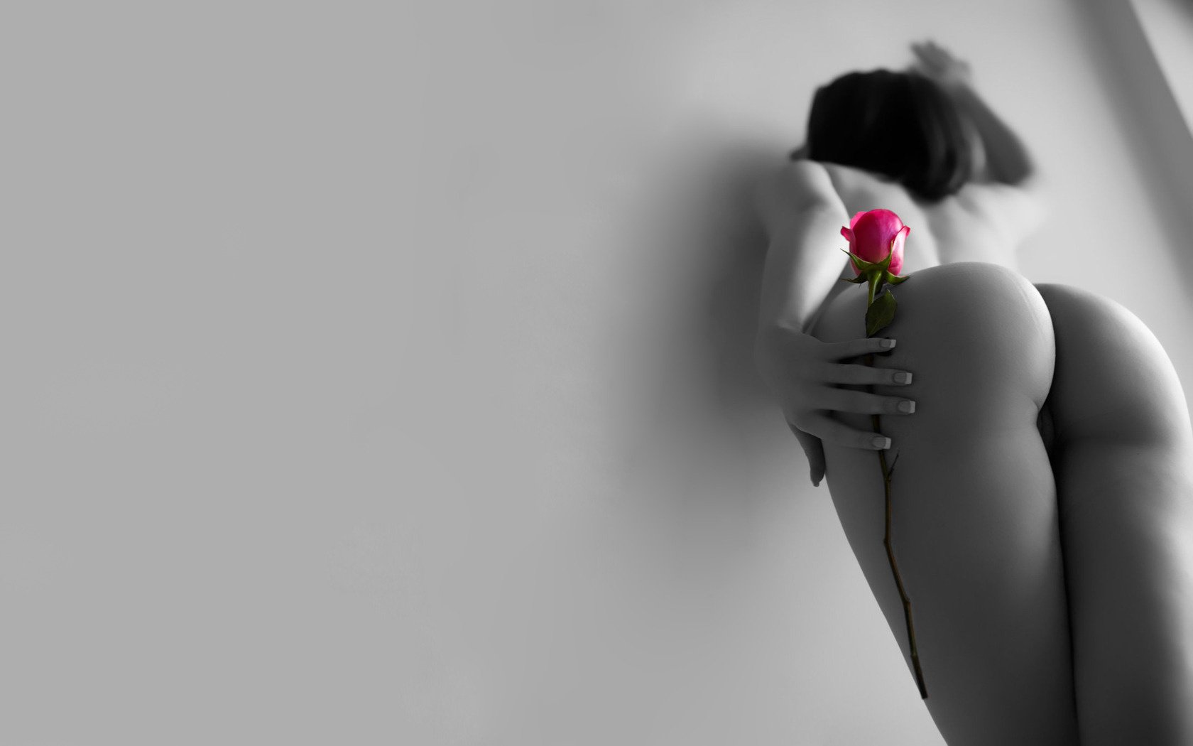 Naked girl posing with a rose against the wall