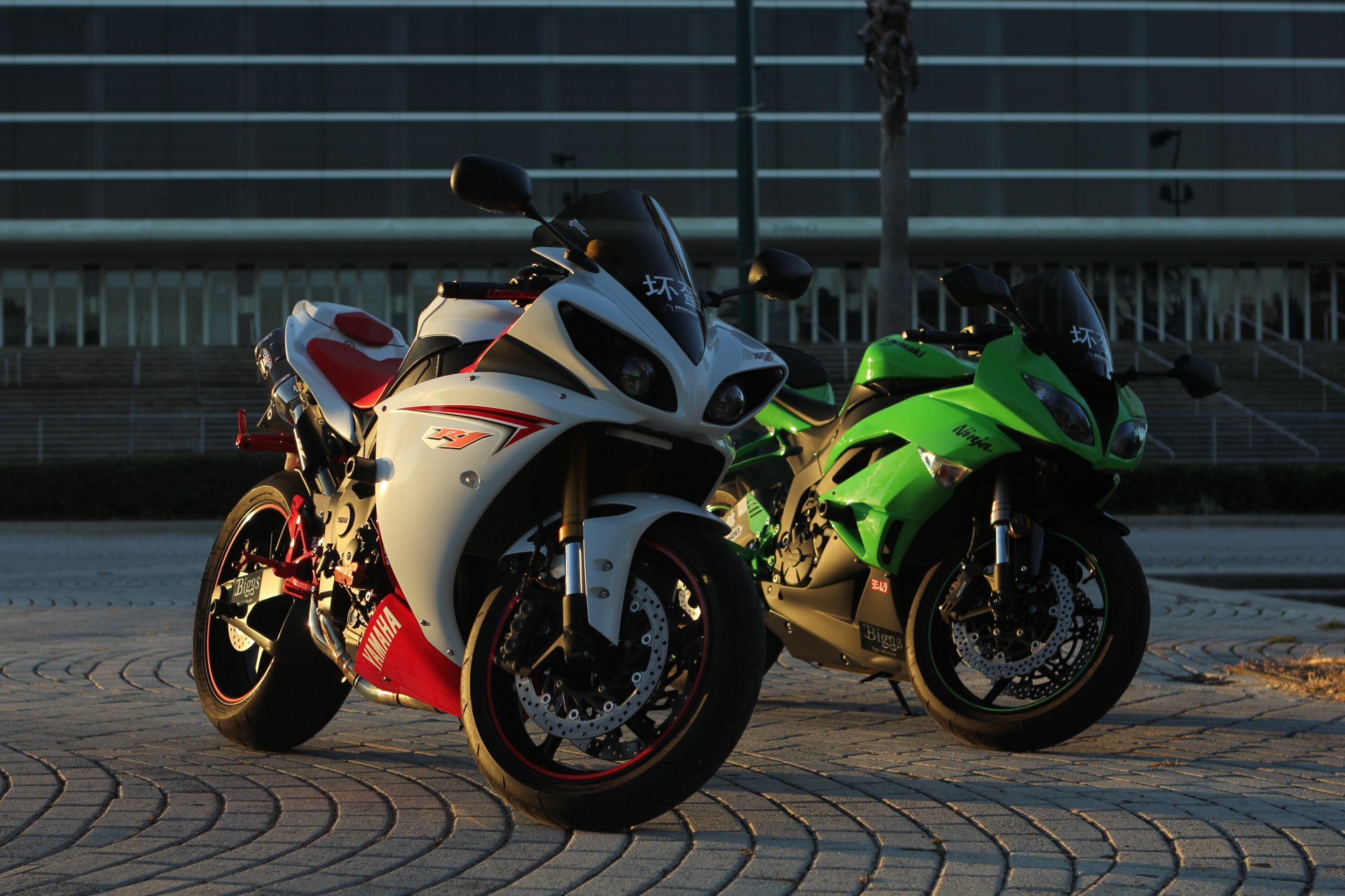 yamaha yzf-r1 white kawasaki ninja zx-6r green motorcycles night