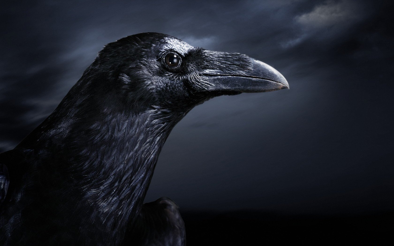 The raven's black eye in the Dark