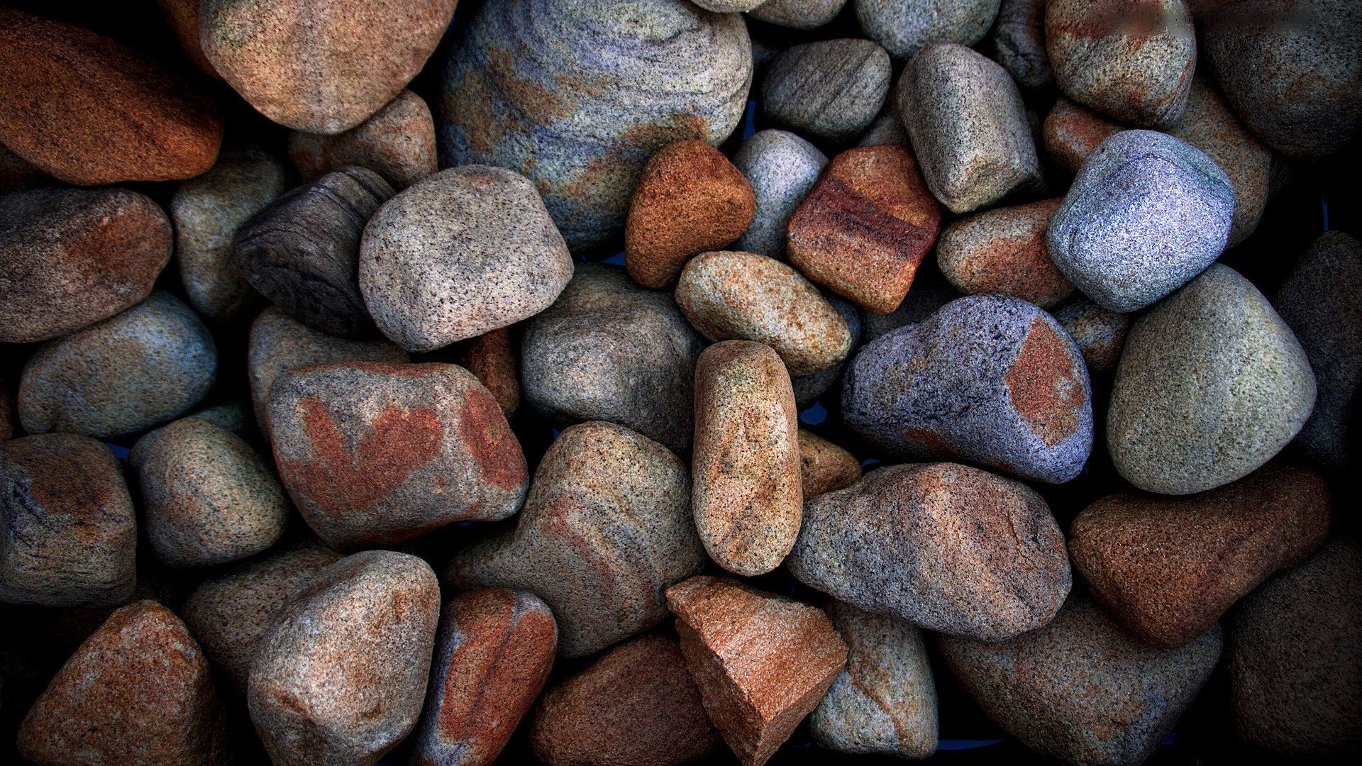 Sea stones. Multicolored pebbles
