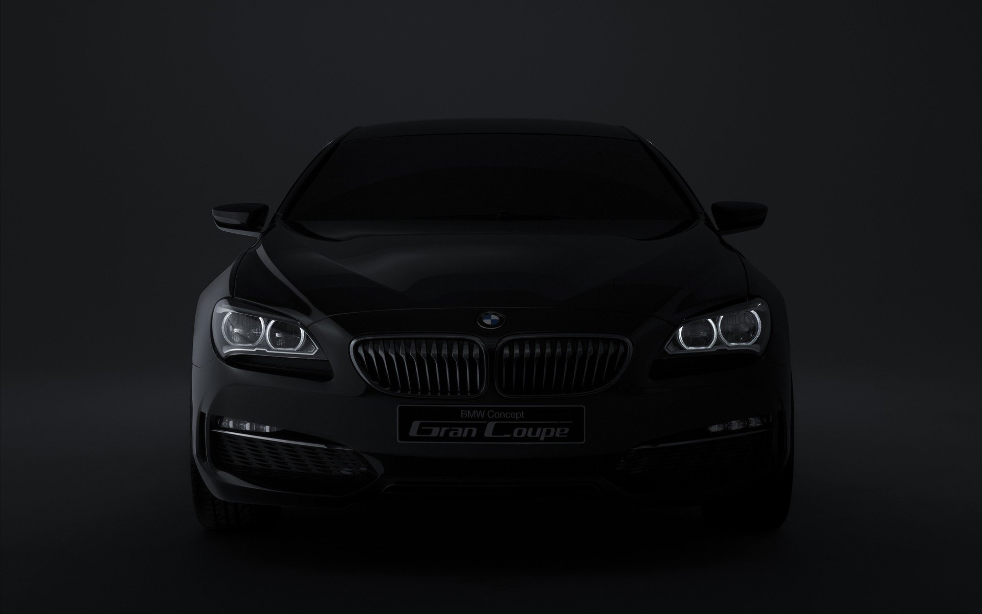Dark BMW passenger car in the dark