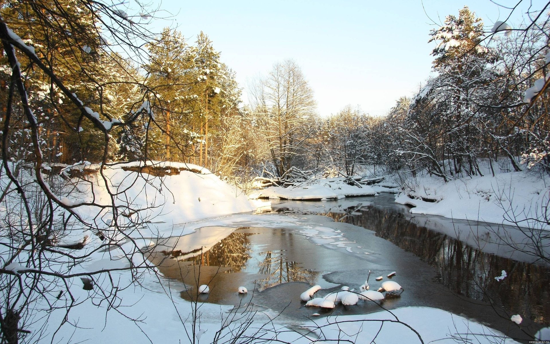 The melted forest lake in the spring thaw