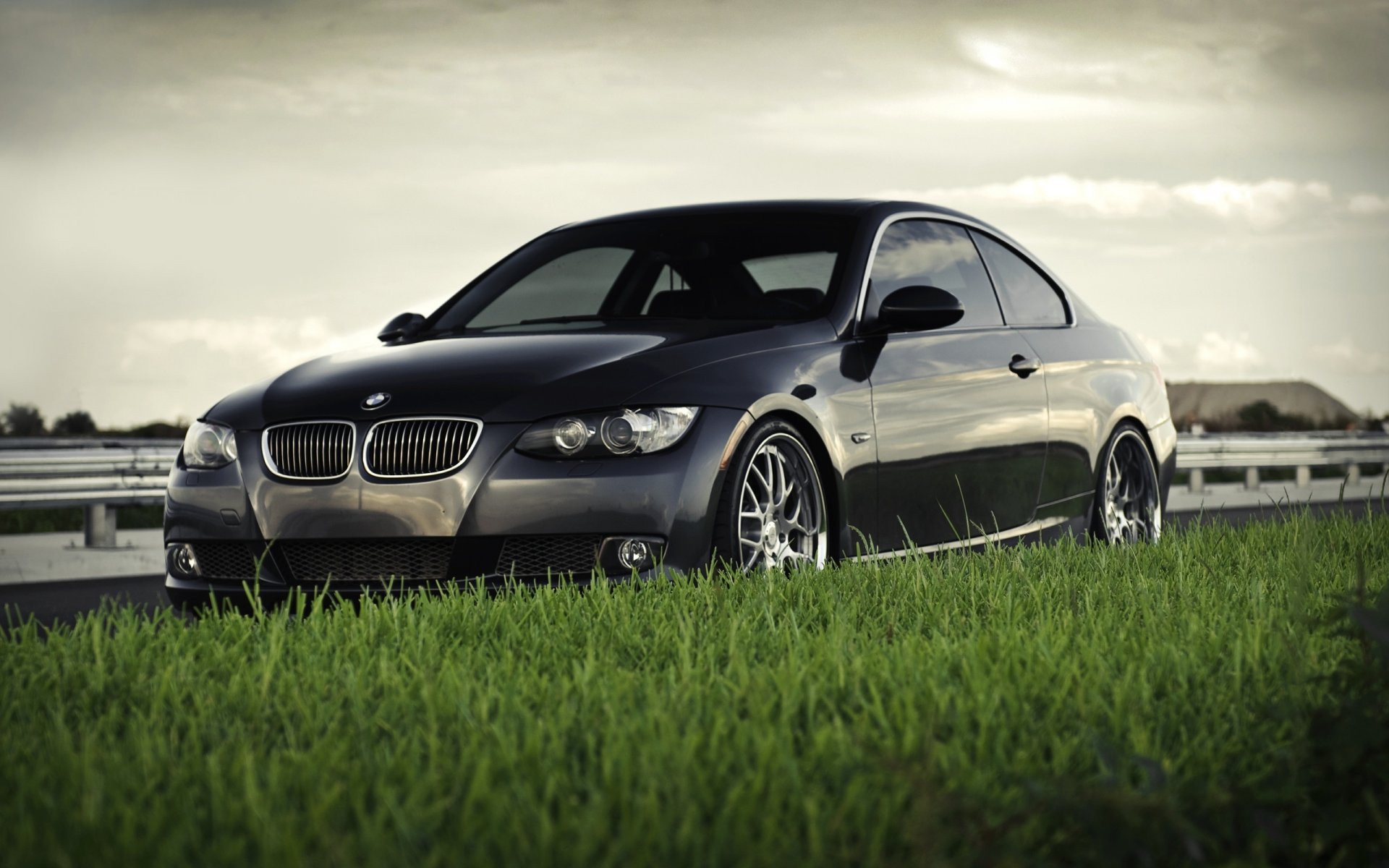 A black Bmw is standing on the green grass