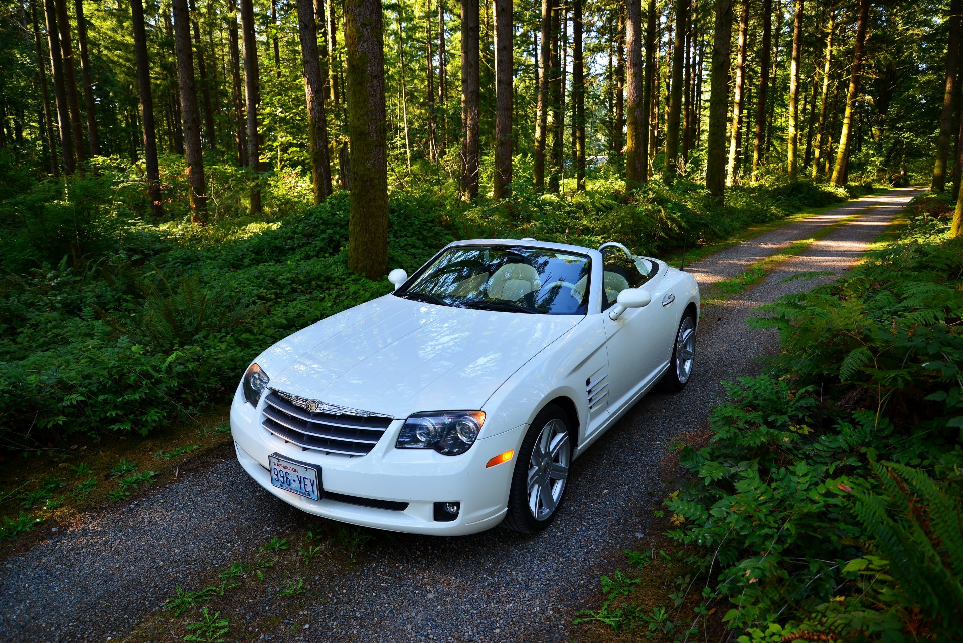 chrysler crossfire srt6 white convertible forest road trees .