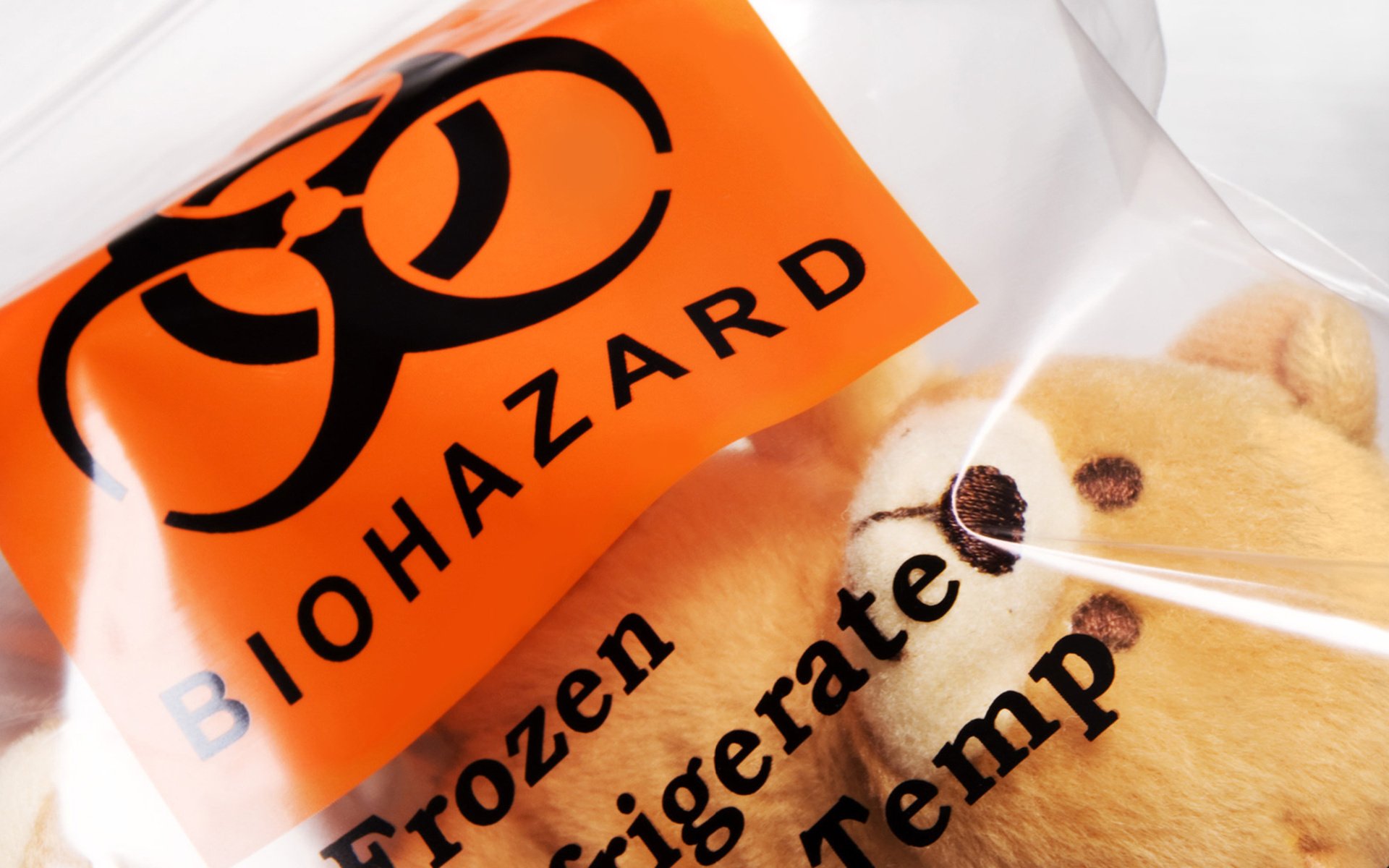 The infected bear cub will never see its owner again