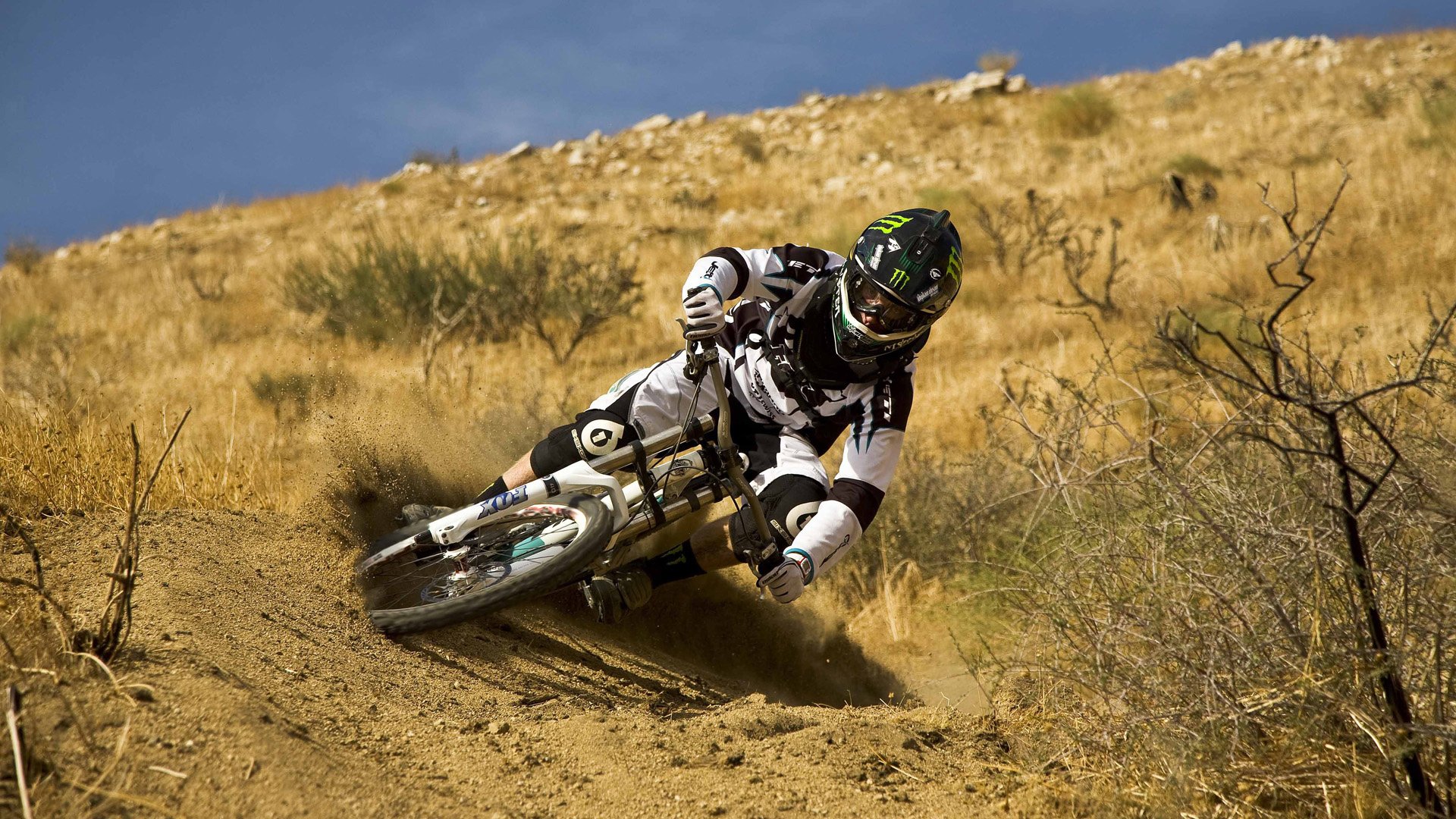 Motorsport. How much adrenaline is in this frame