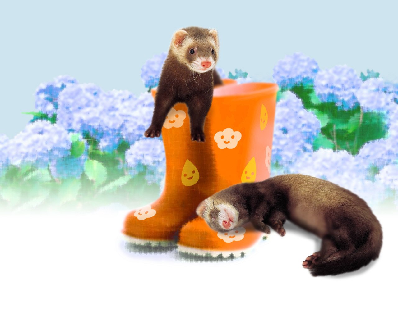 A pair of ferrets on a pair of orange boots in colors