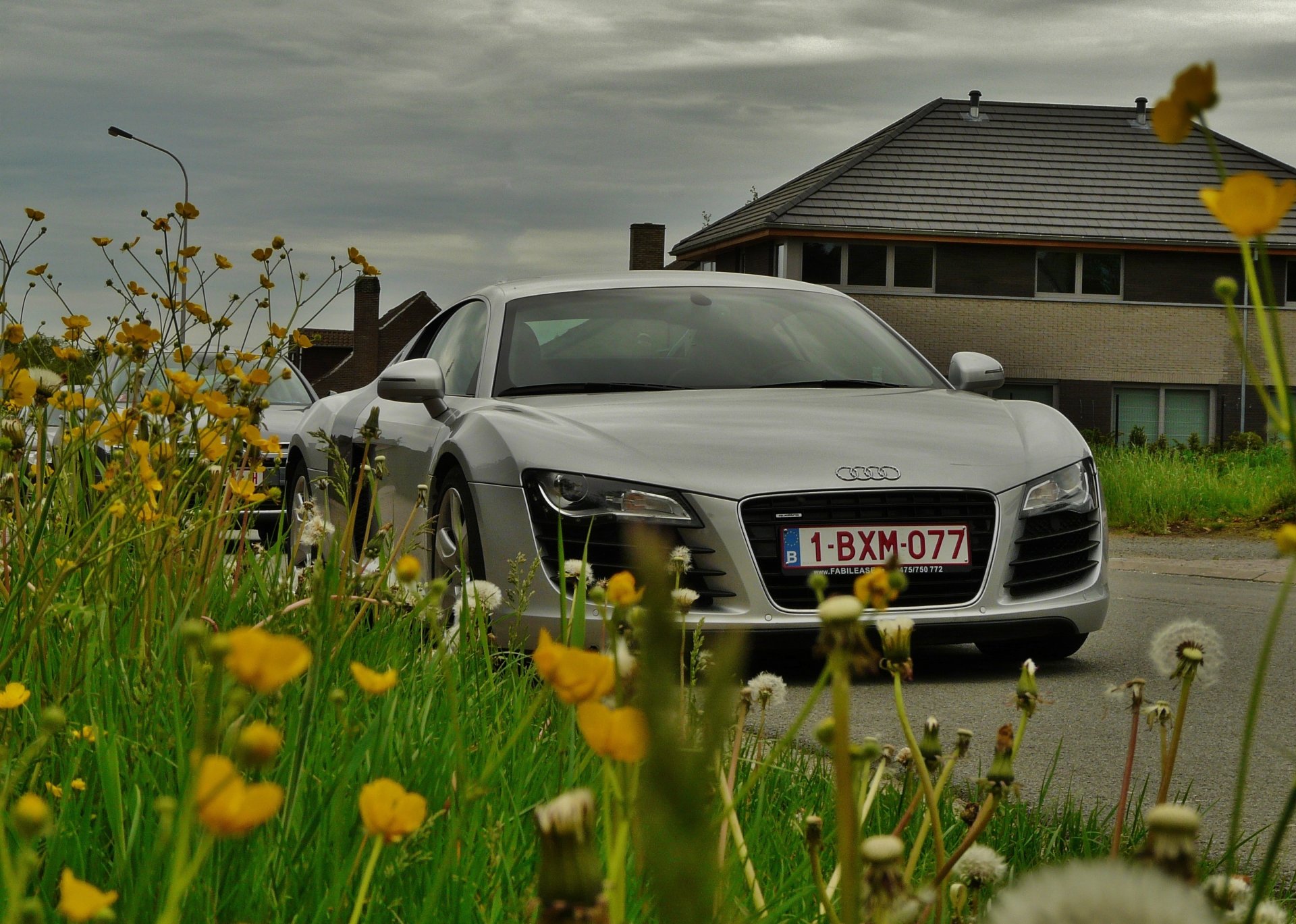 flower grass dandelions road vehicles audi r8 a mid all-wheel drive supercar house sky clouds