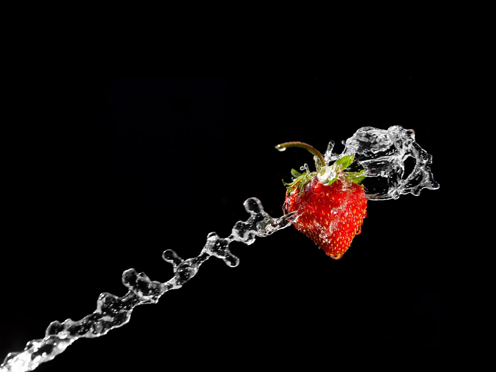 Delicious strawberries with fresh water