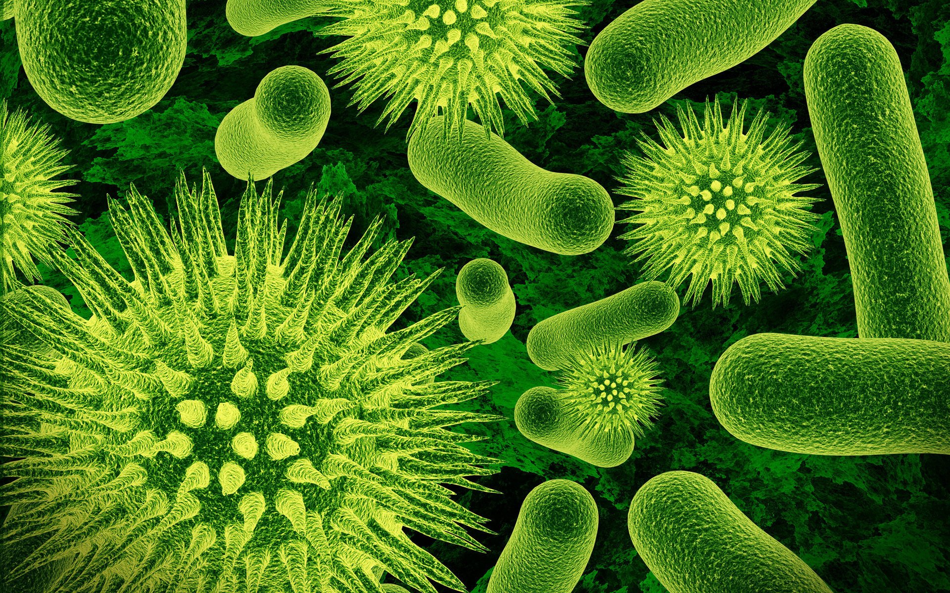 Green microorganisms will determine the future of biology