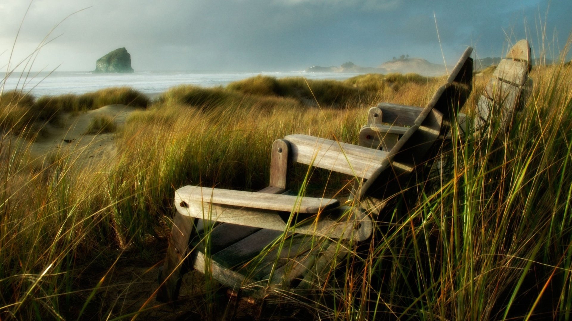 A wooden chair in a thicket of tall grass