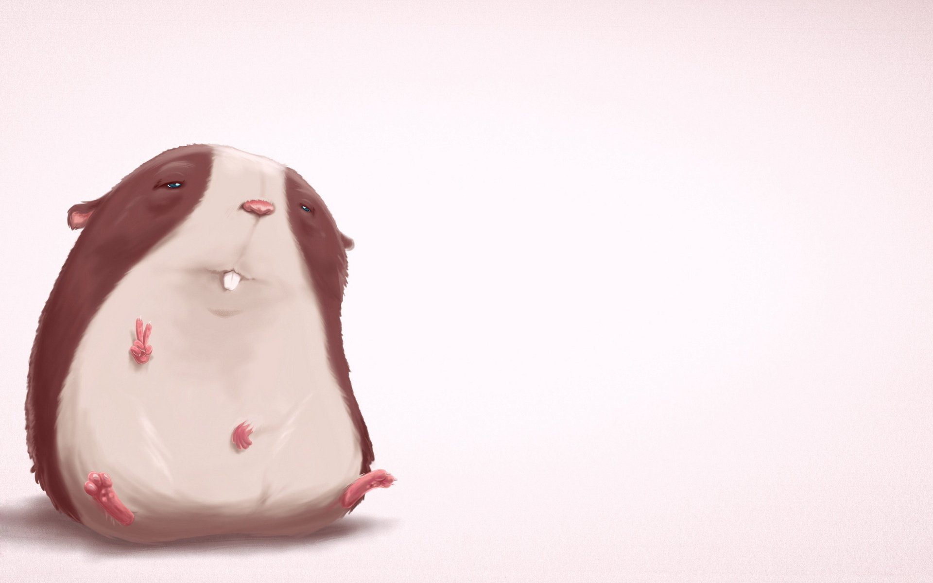 Toothy chubby hamster with small paws