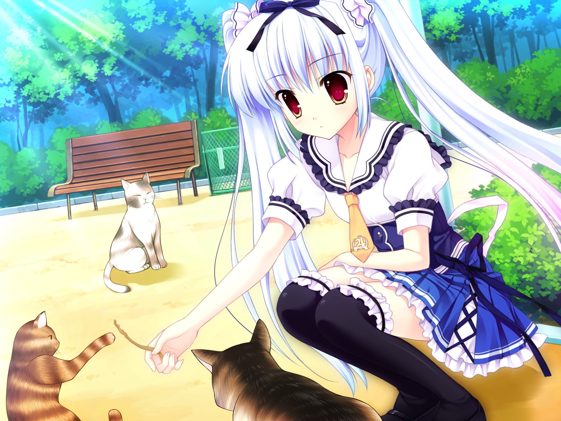 brown eyes seifuku long hair cat animals twintails white hair thighhighs