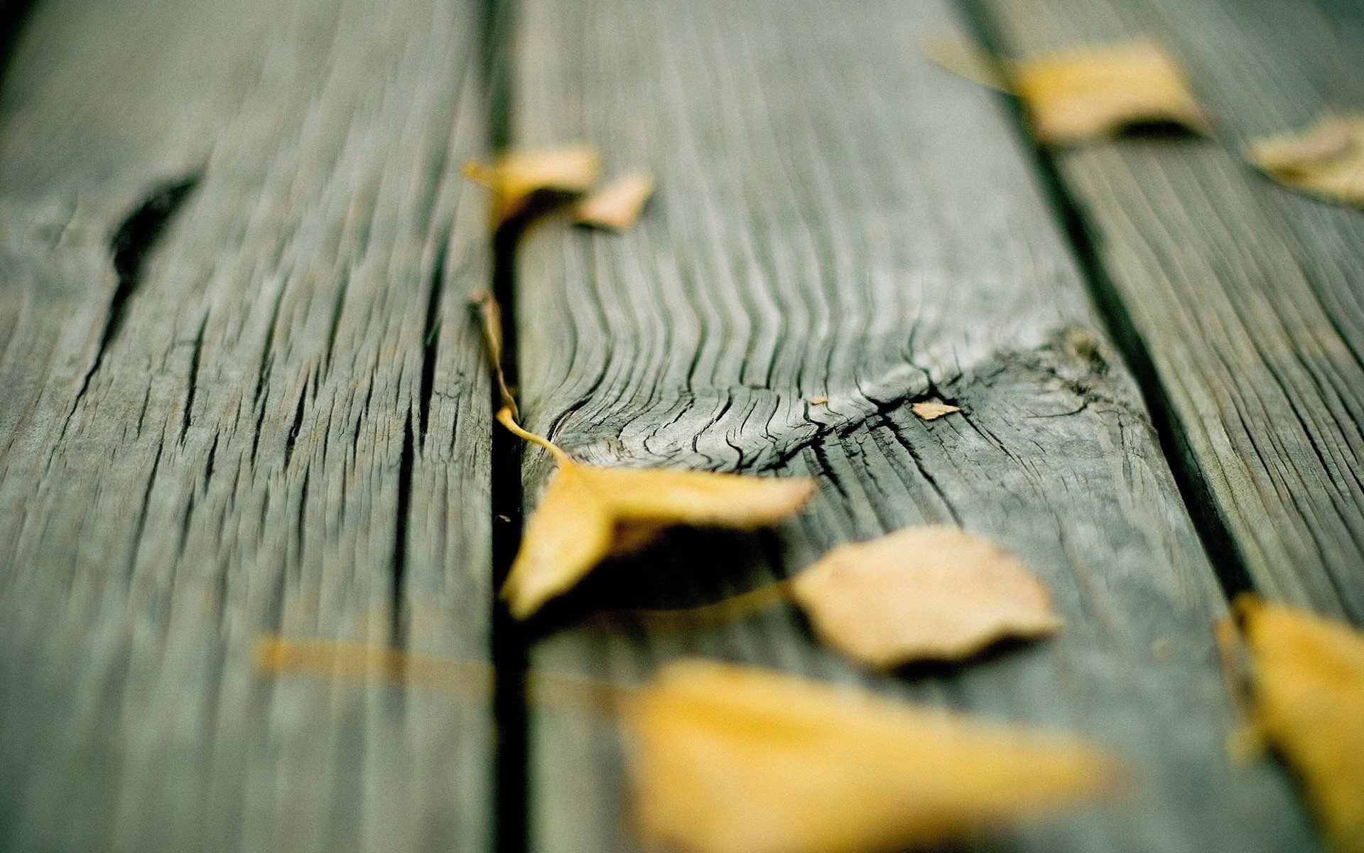Background autumn yellow leaves on wooden boards