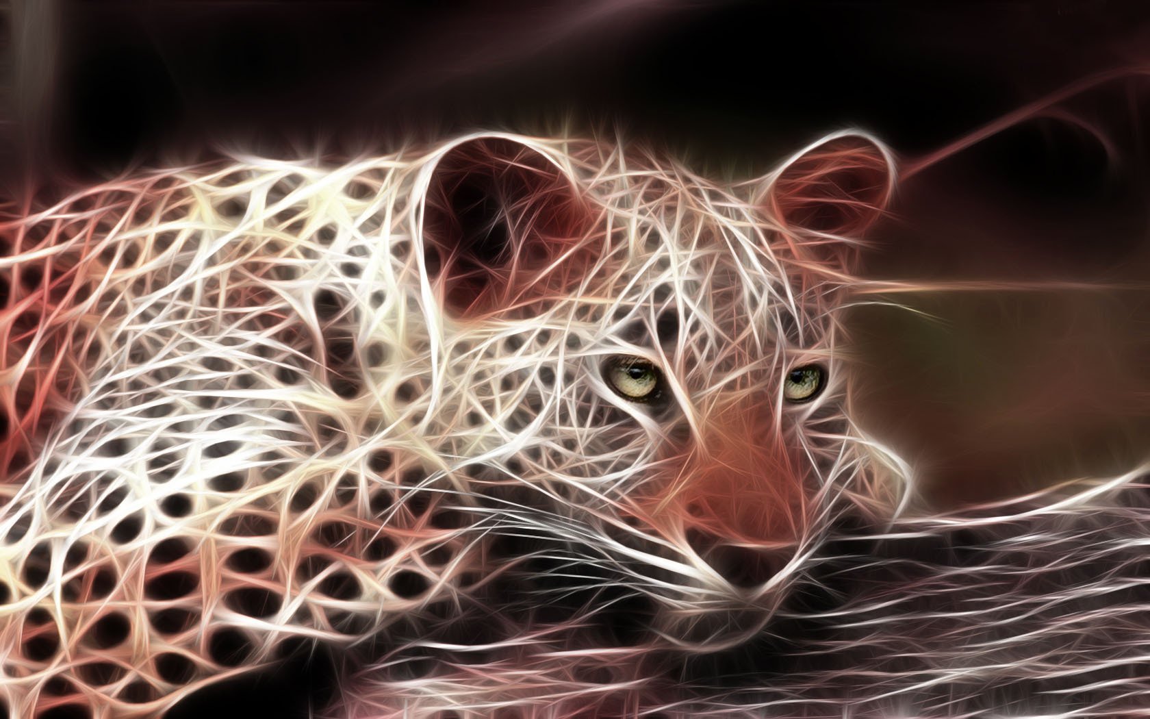 Leopard Predator Light Treatment