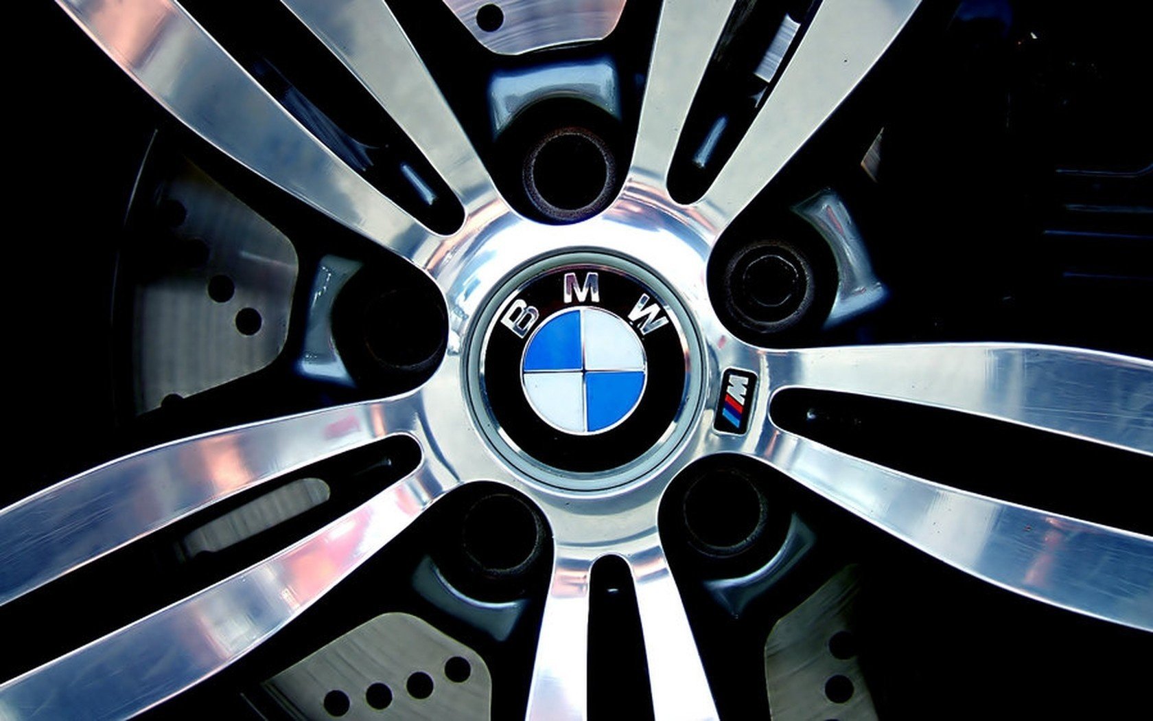 BMW titanium disc with logo
