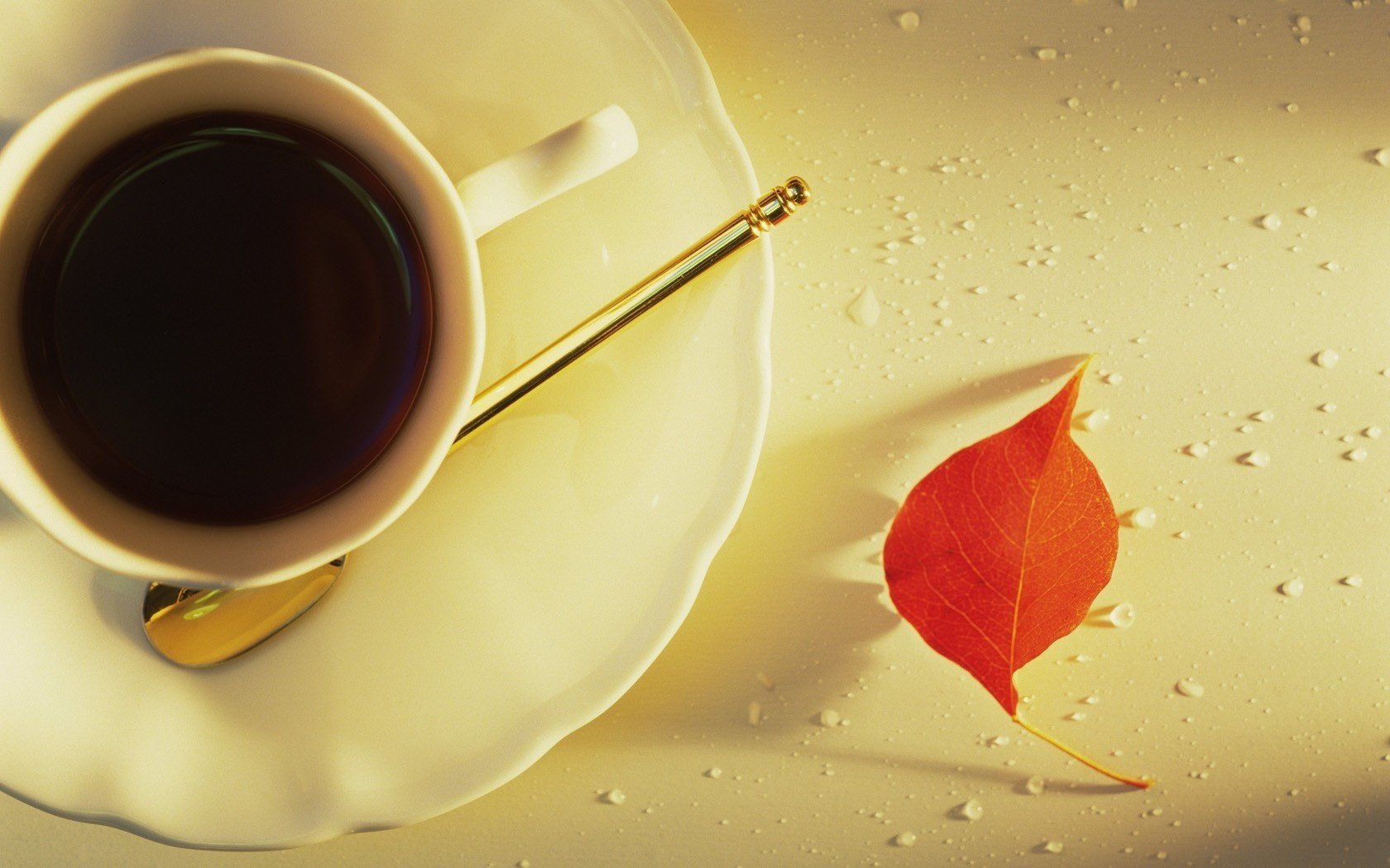 Autumn morning with a cup of hot espresso