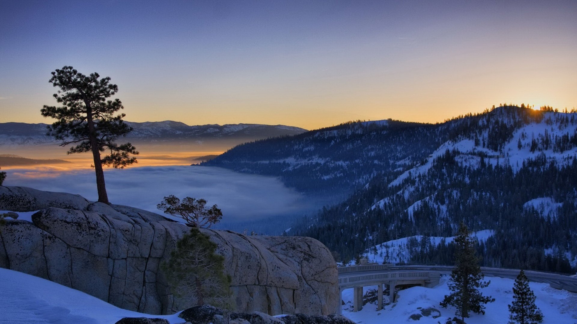 Tree on a rock, winter landscape of mountains