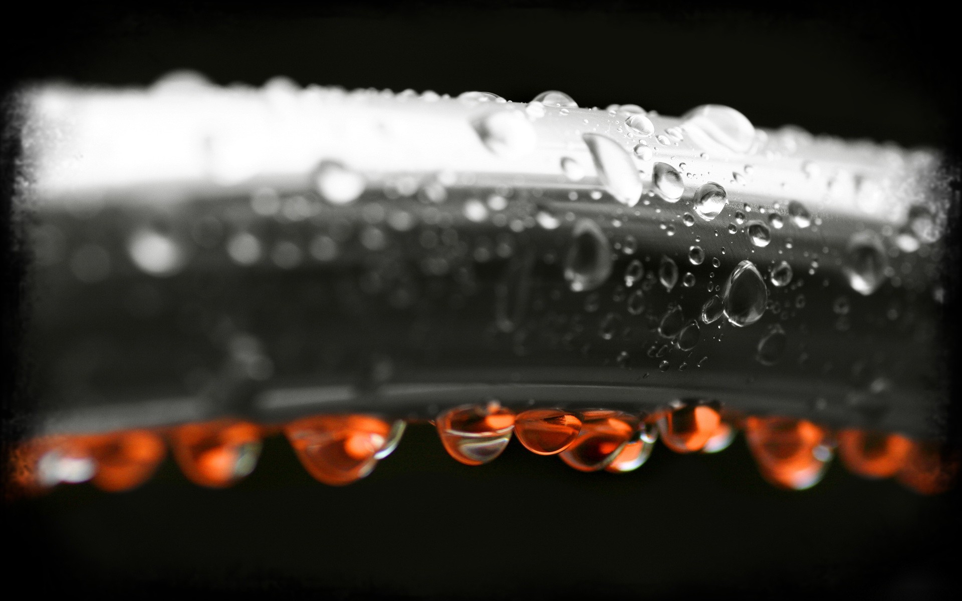 black and white red drops