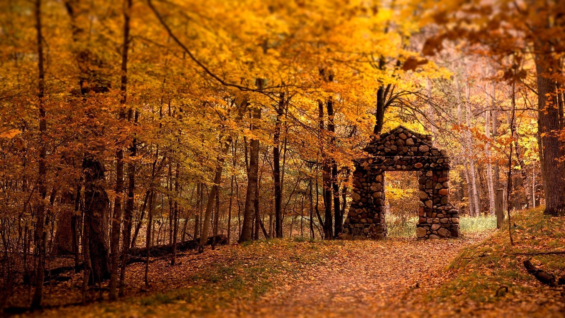Stone arch in the autumn golden forest