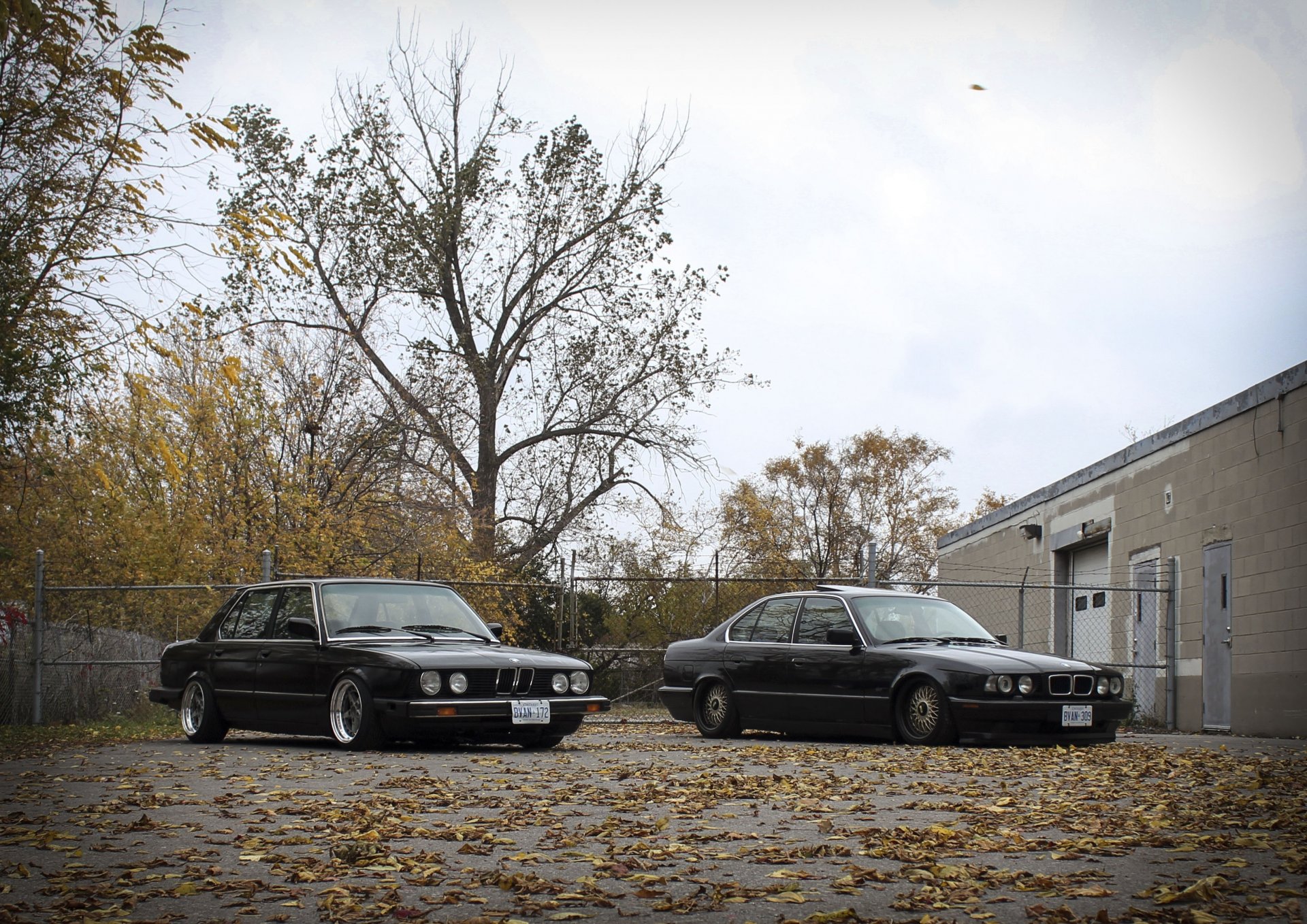 bmw e28 e34 stance tuning drives classic autumn leaves