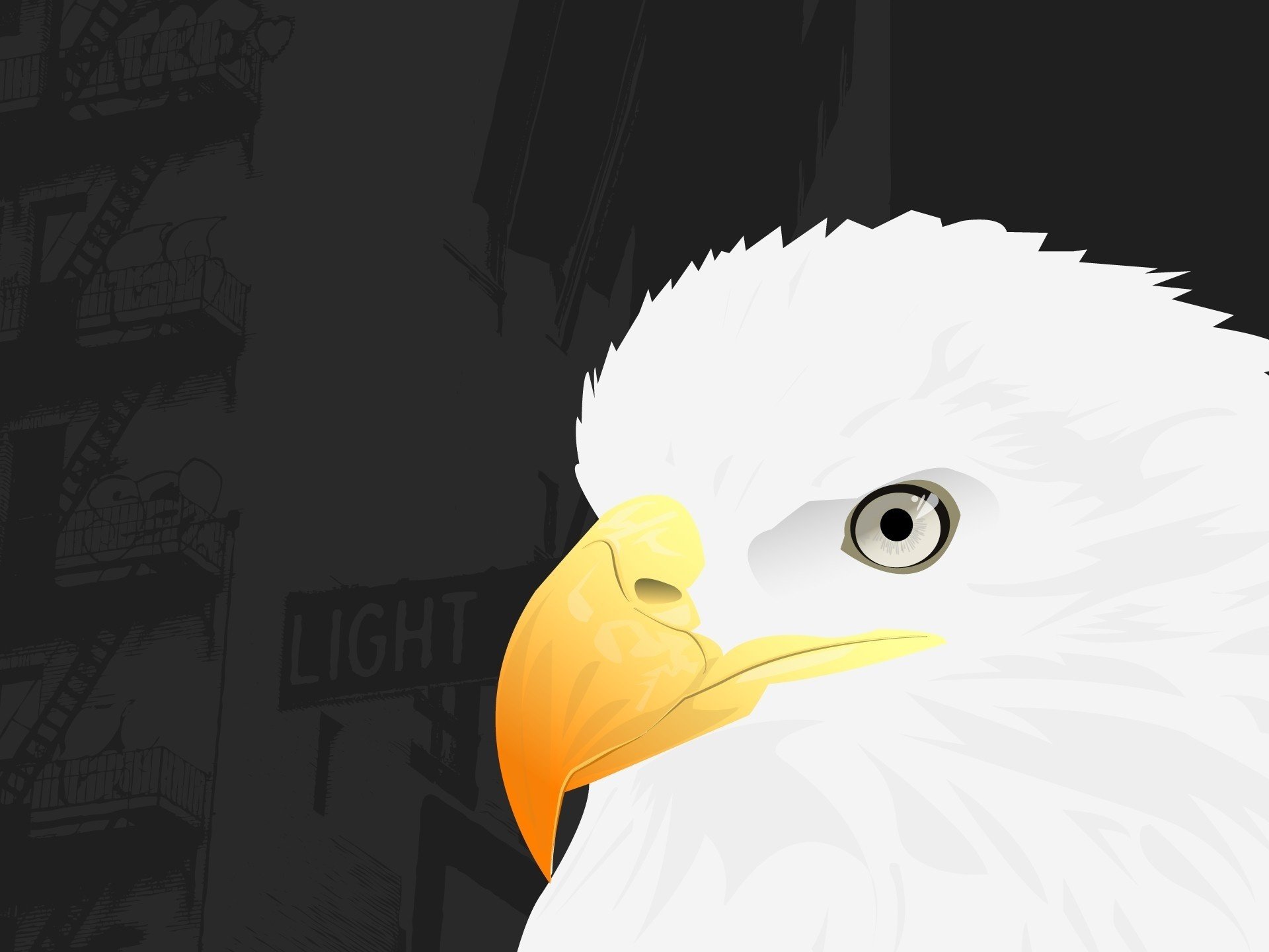 The White Eagle looks to the left with beautiful eyes