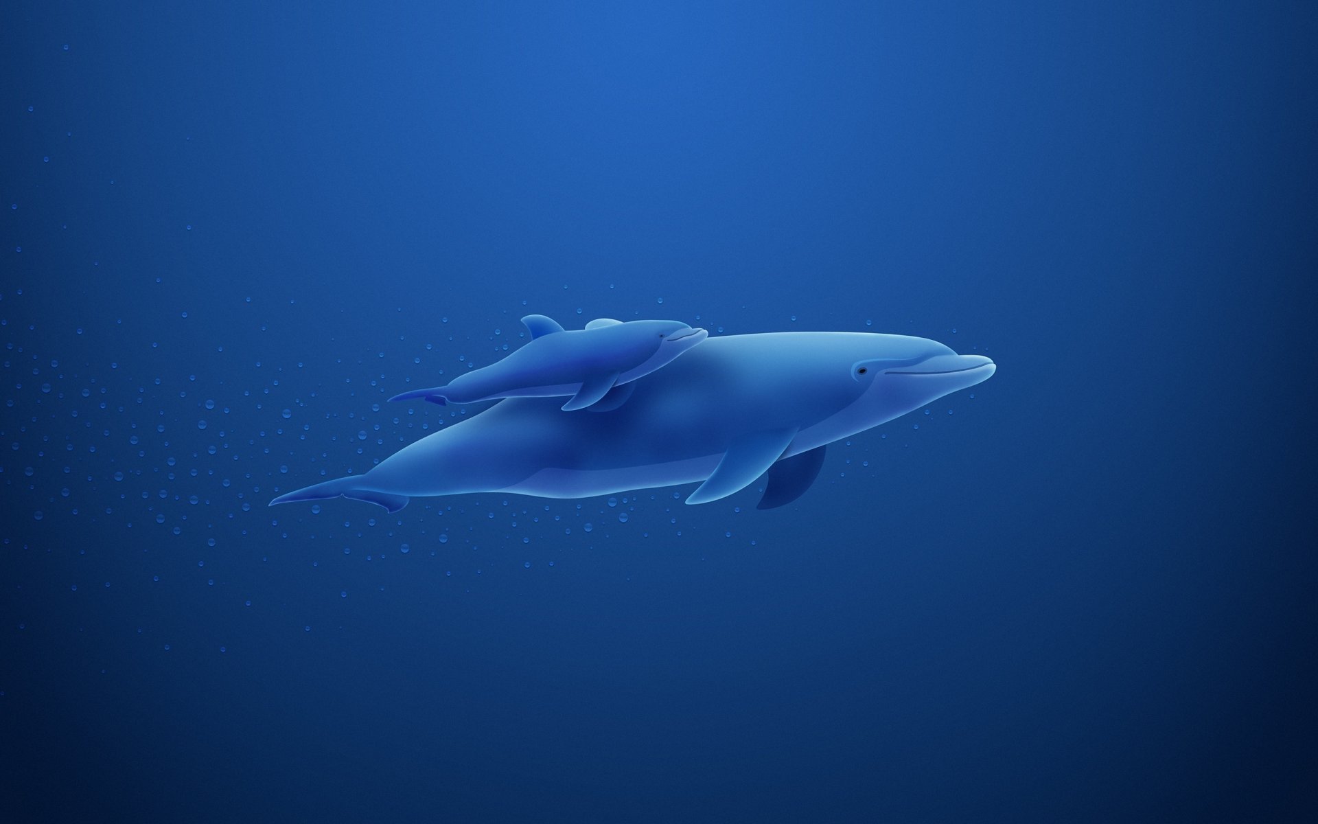 Dolphin mom and dolphin son swim on a blue background