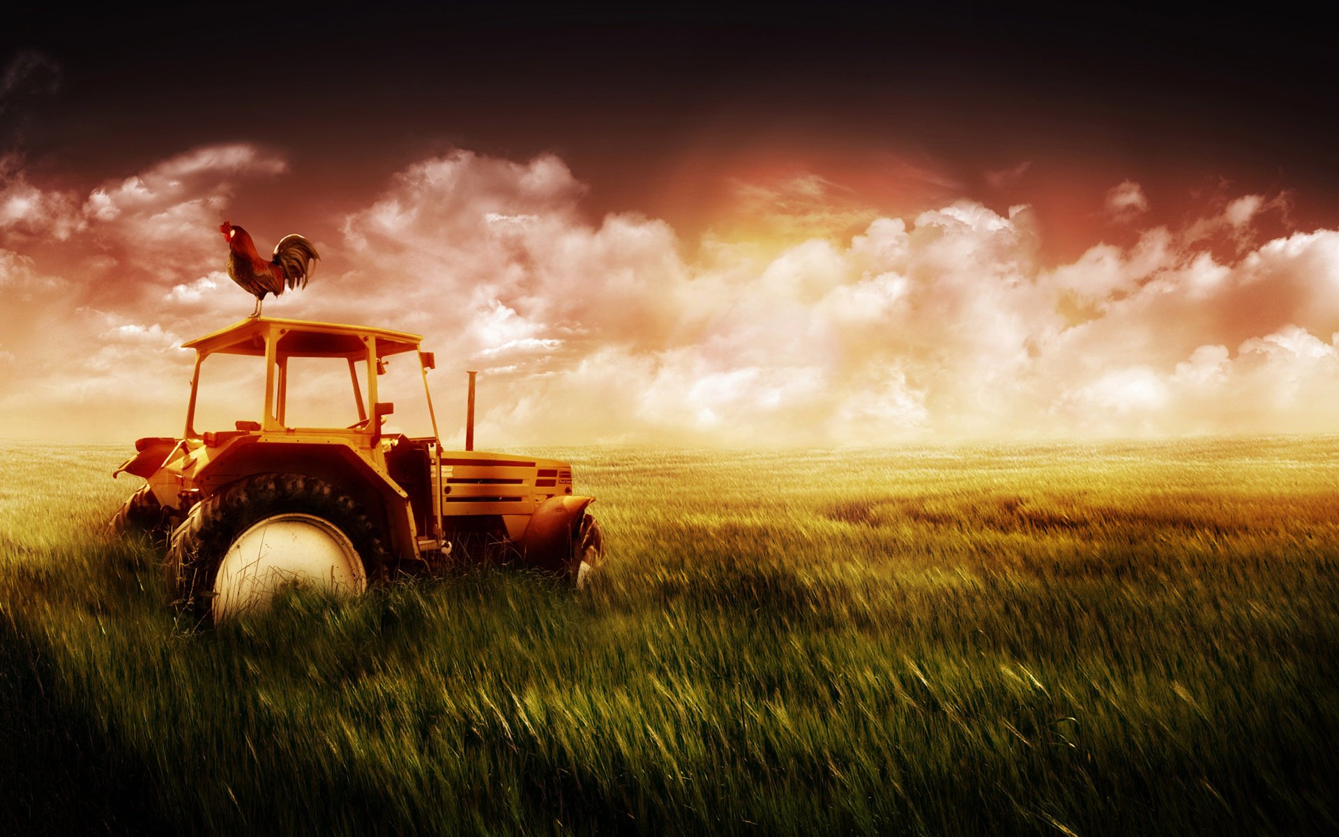 Tractor on the background of a picturesque sunset