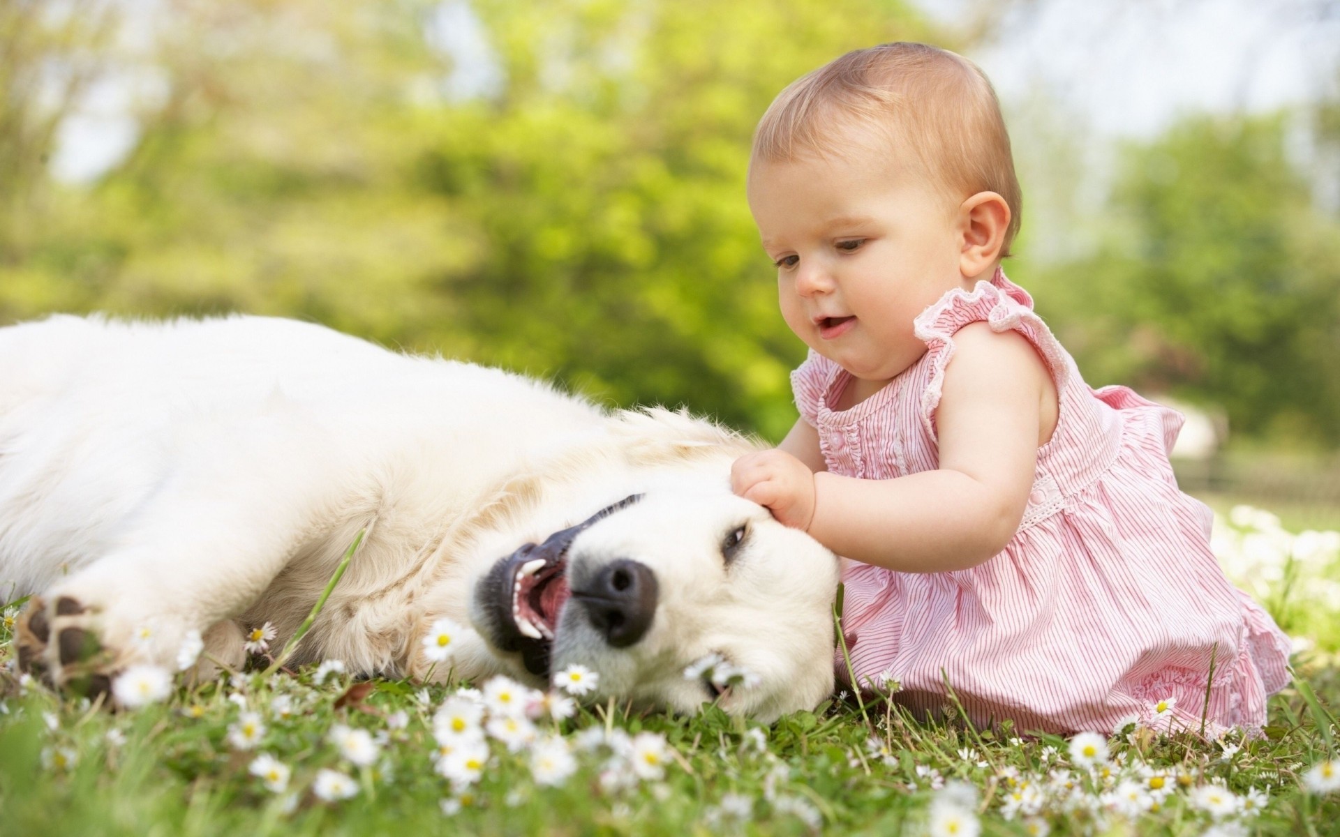 positive girl nature dog child photo flower super friends