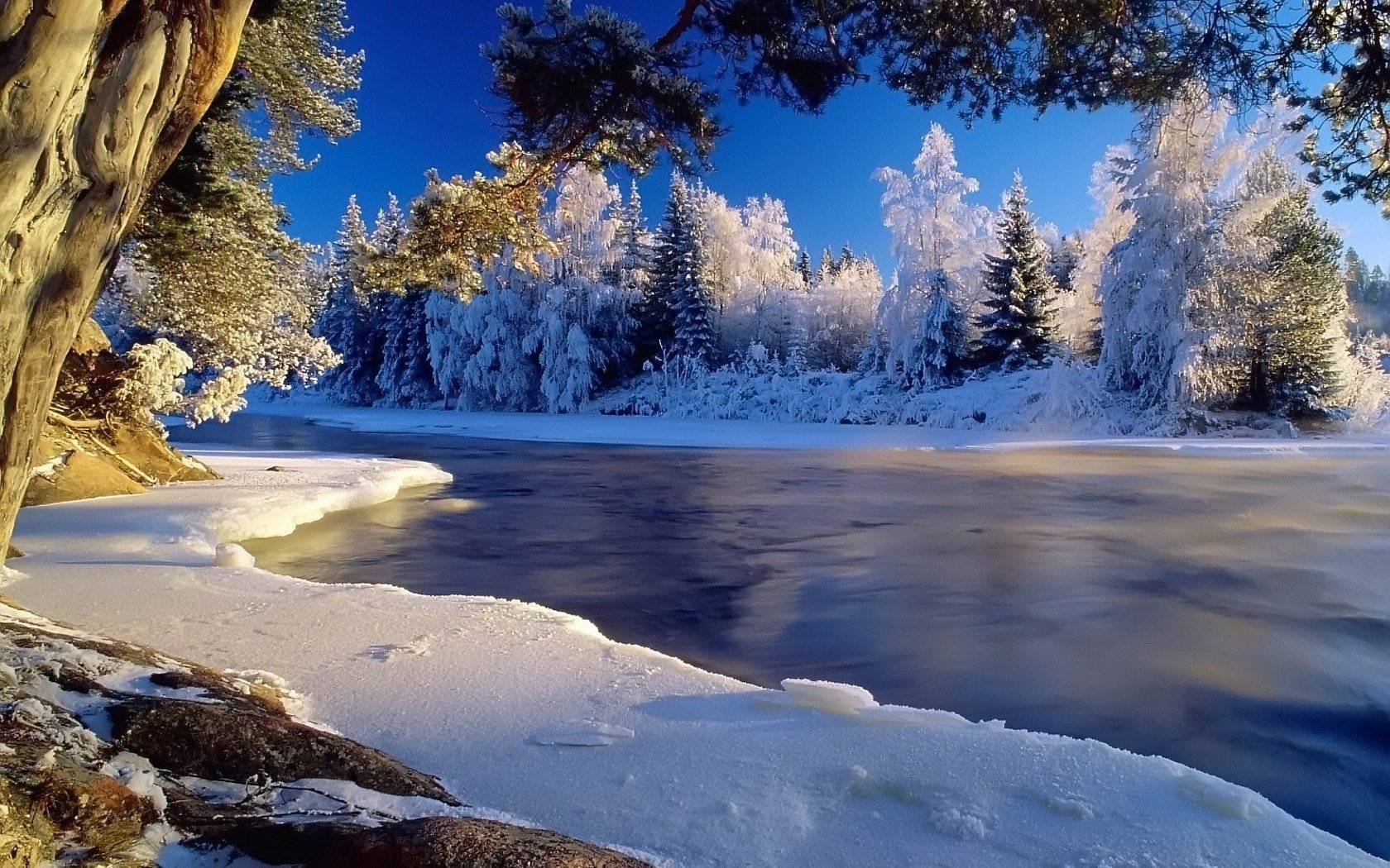 Wonderful and fabulous winter landscape