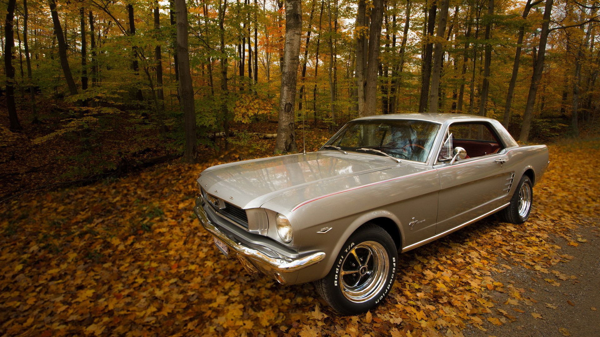 1966 ford mustang autumn road