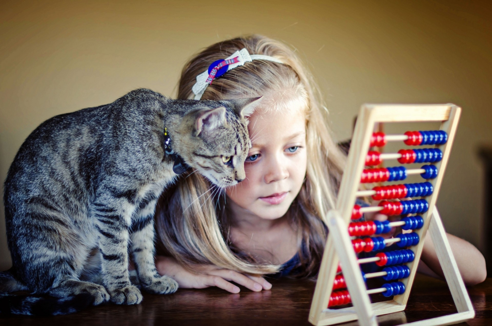 abacus friends cat girl