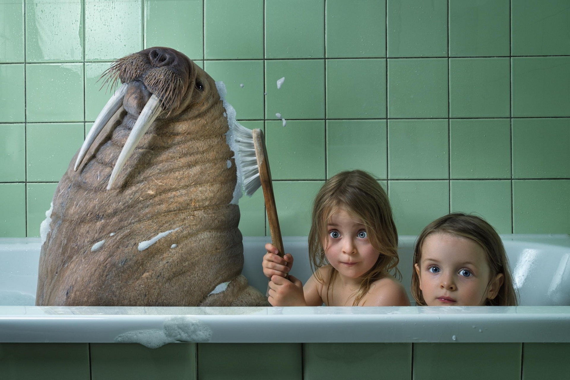 humor walrus animals children bath
